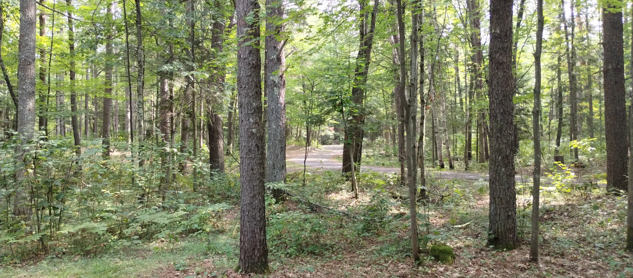 Lac Vieux Desert Recreation Area