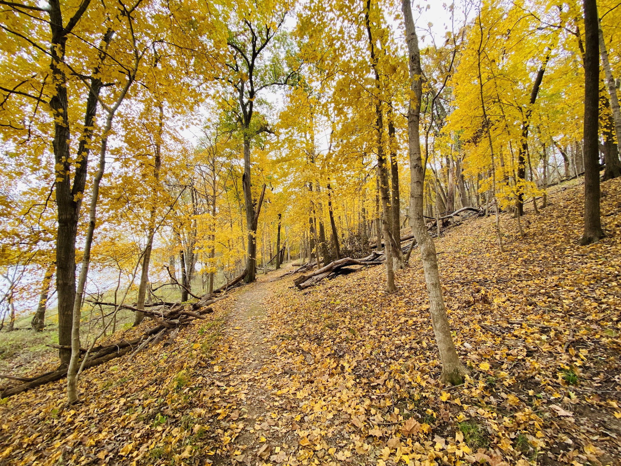 Lacey-Keosauqua State Park