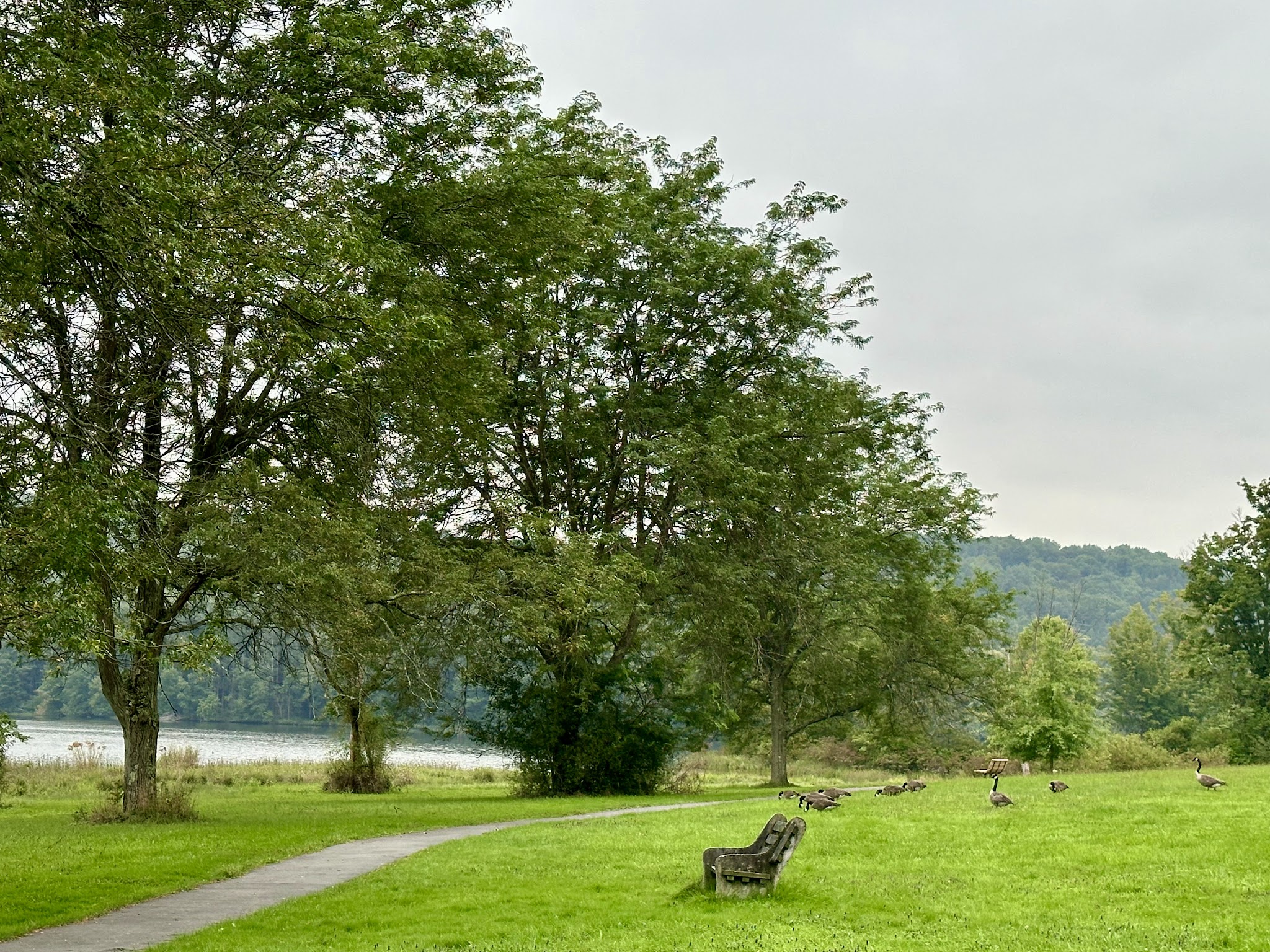 Lackawanna State Park