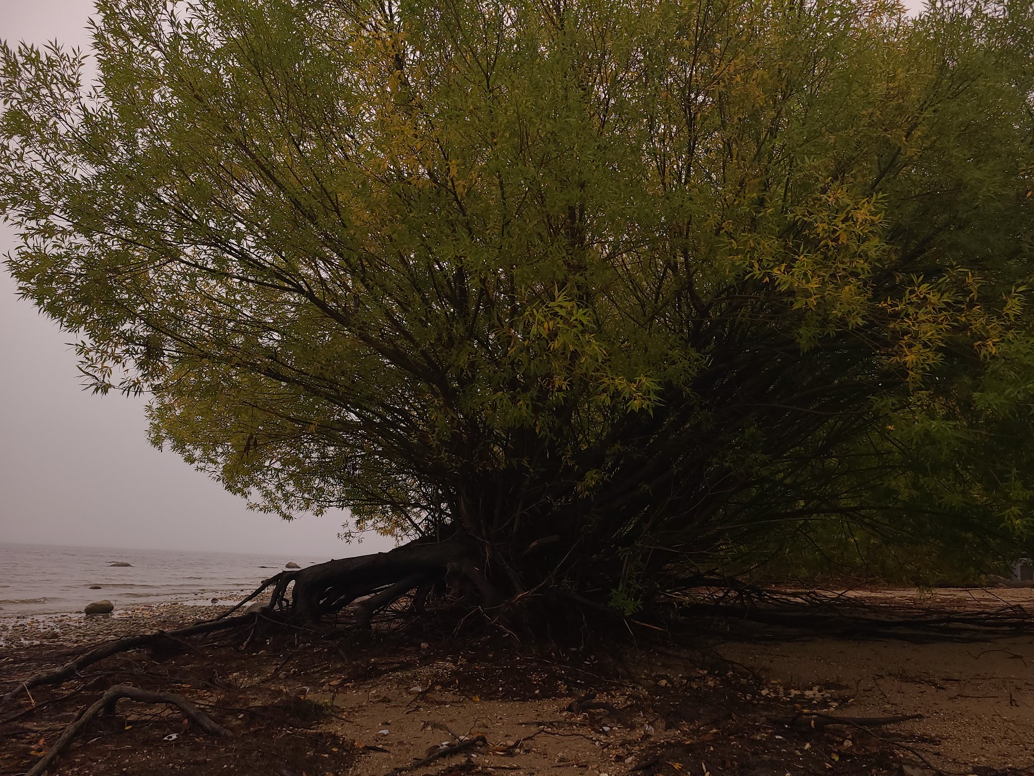 Lady'S Slipper Campground