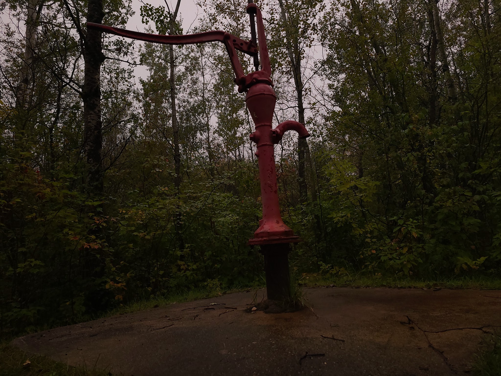 Lady'S Slipper Campground