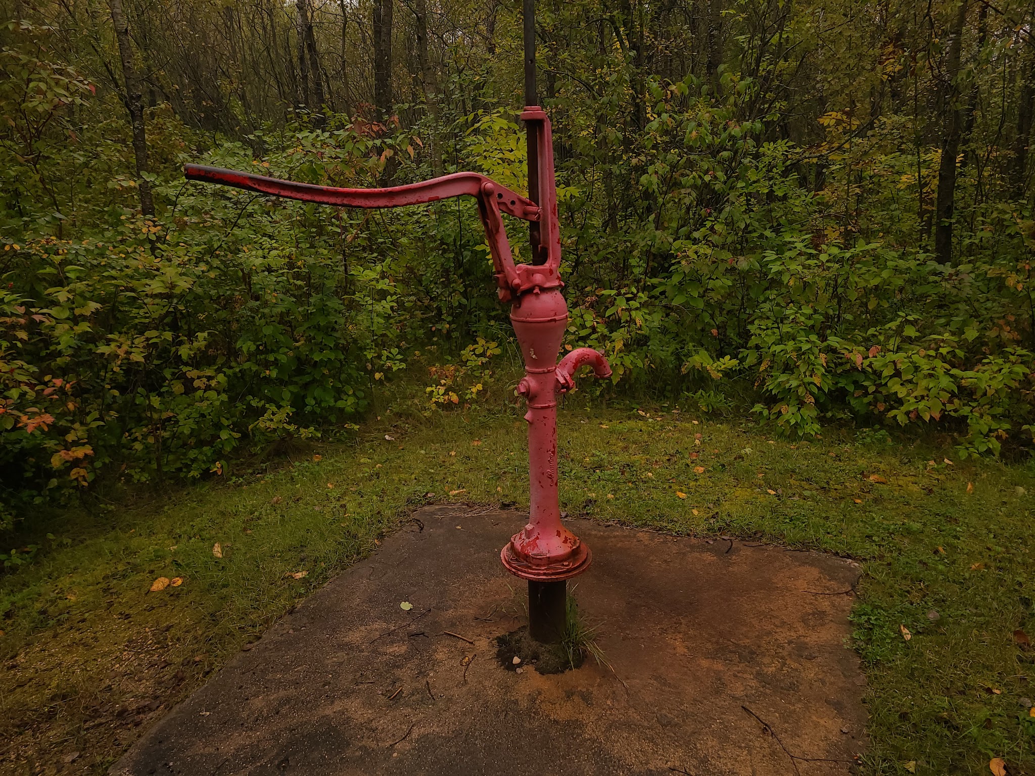 Lady'S Slipper Campground