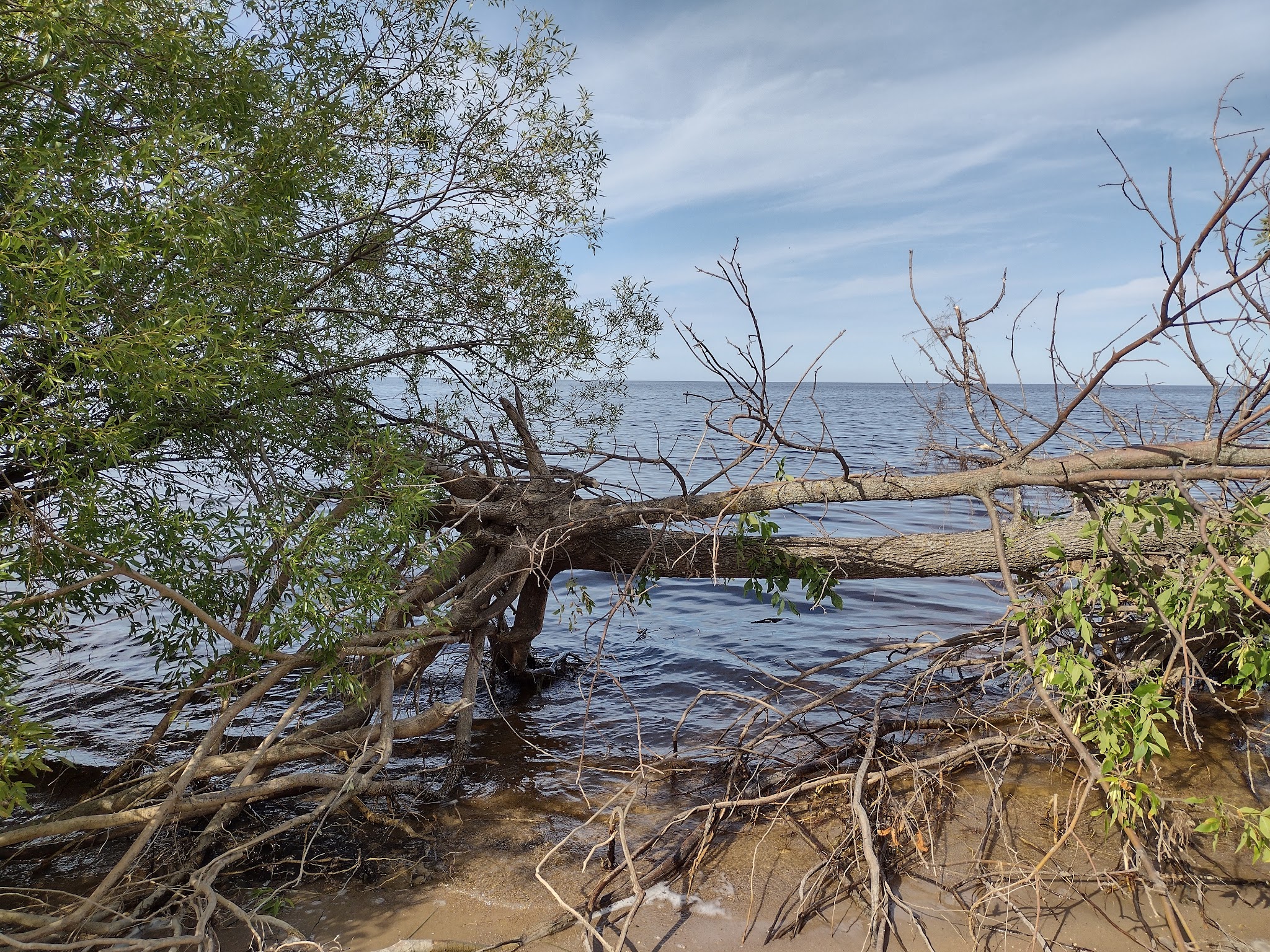 Lady'S Slipper Campground