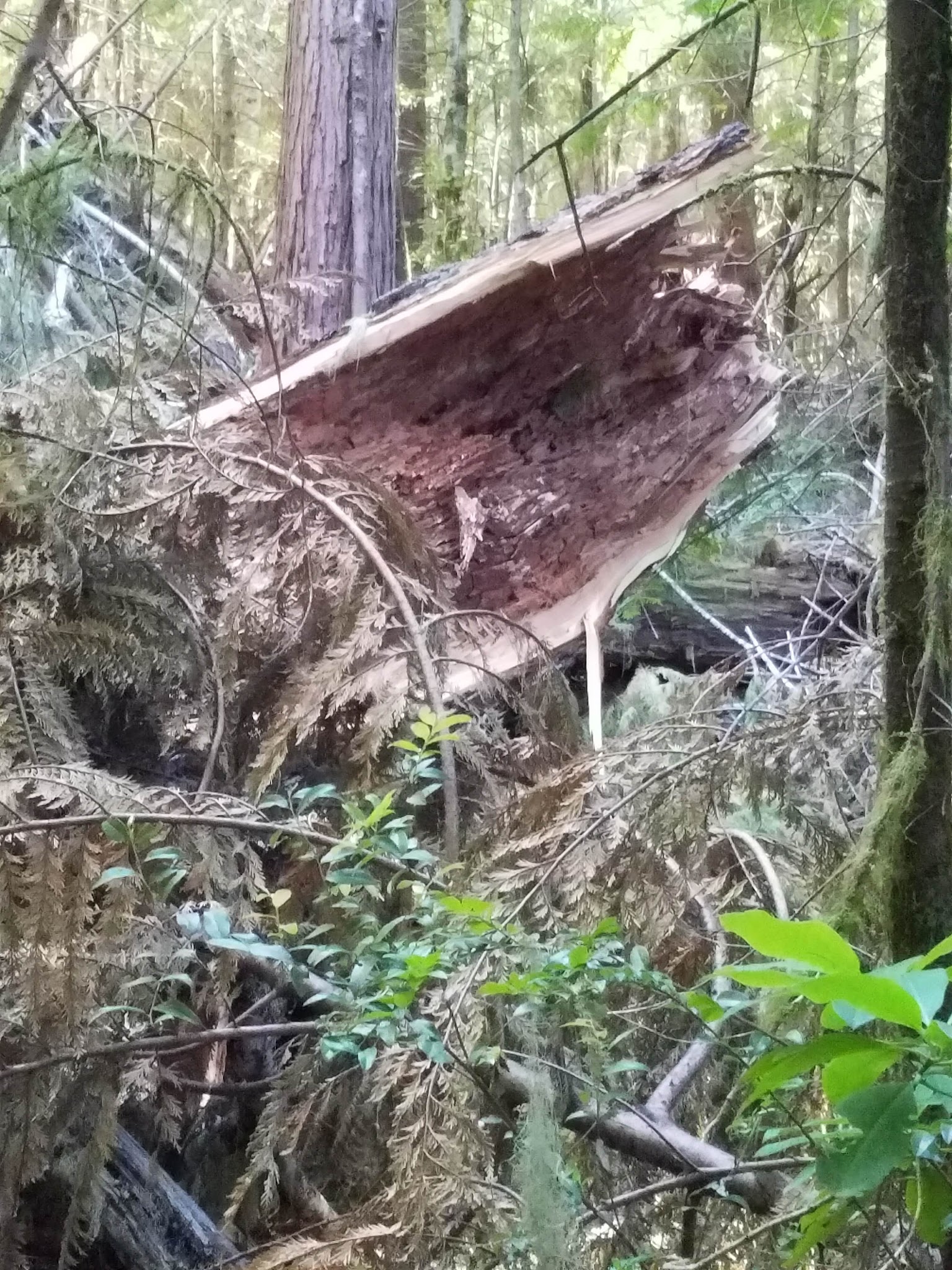 Laird Lake Campground