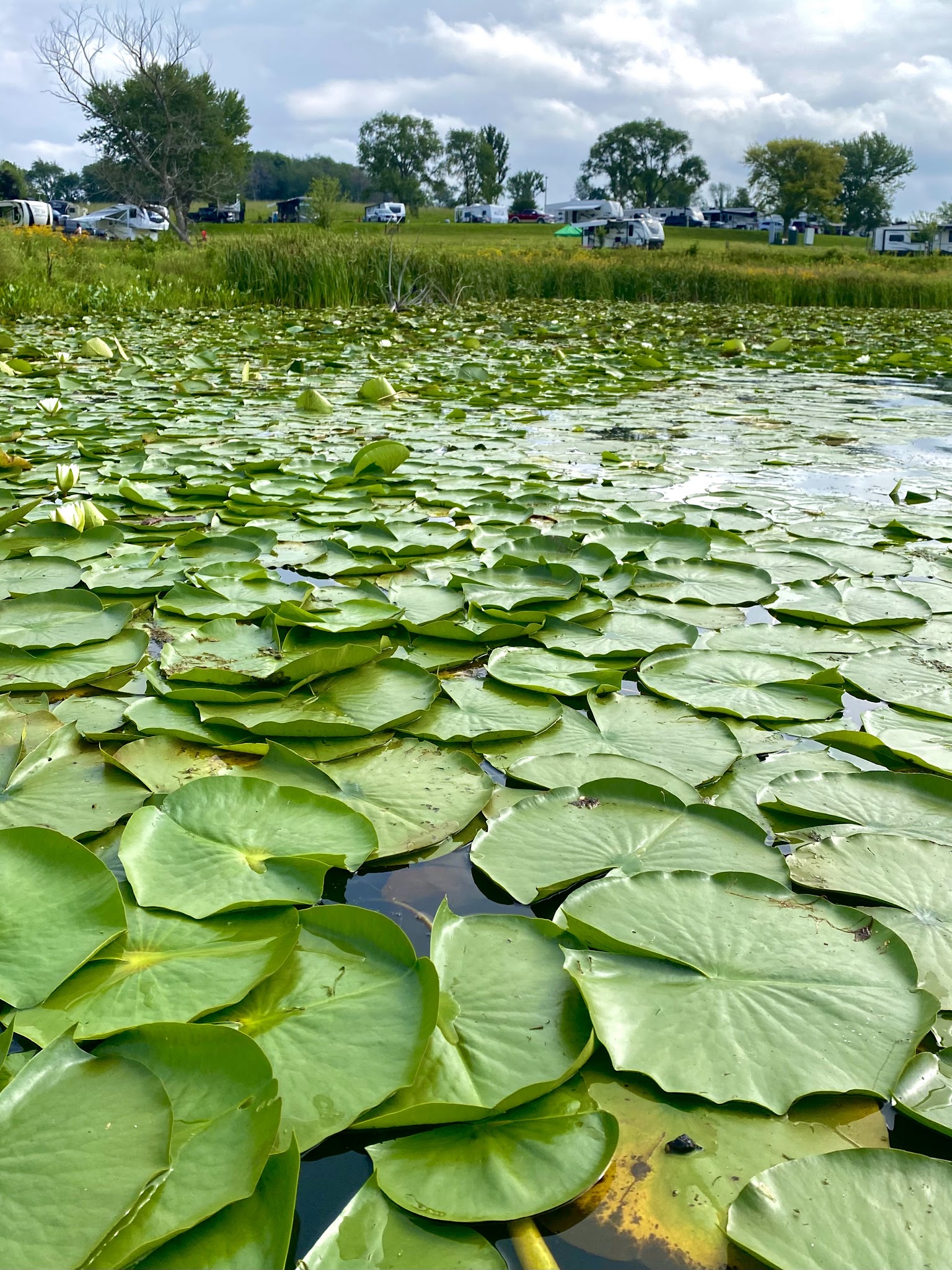 Lake Anita State Park