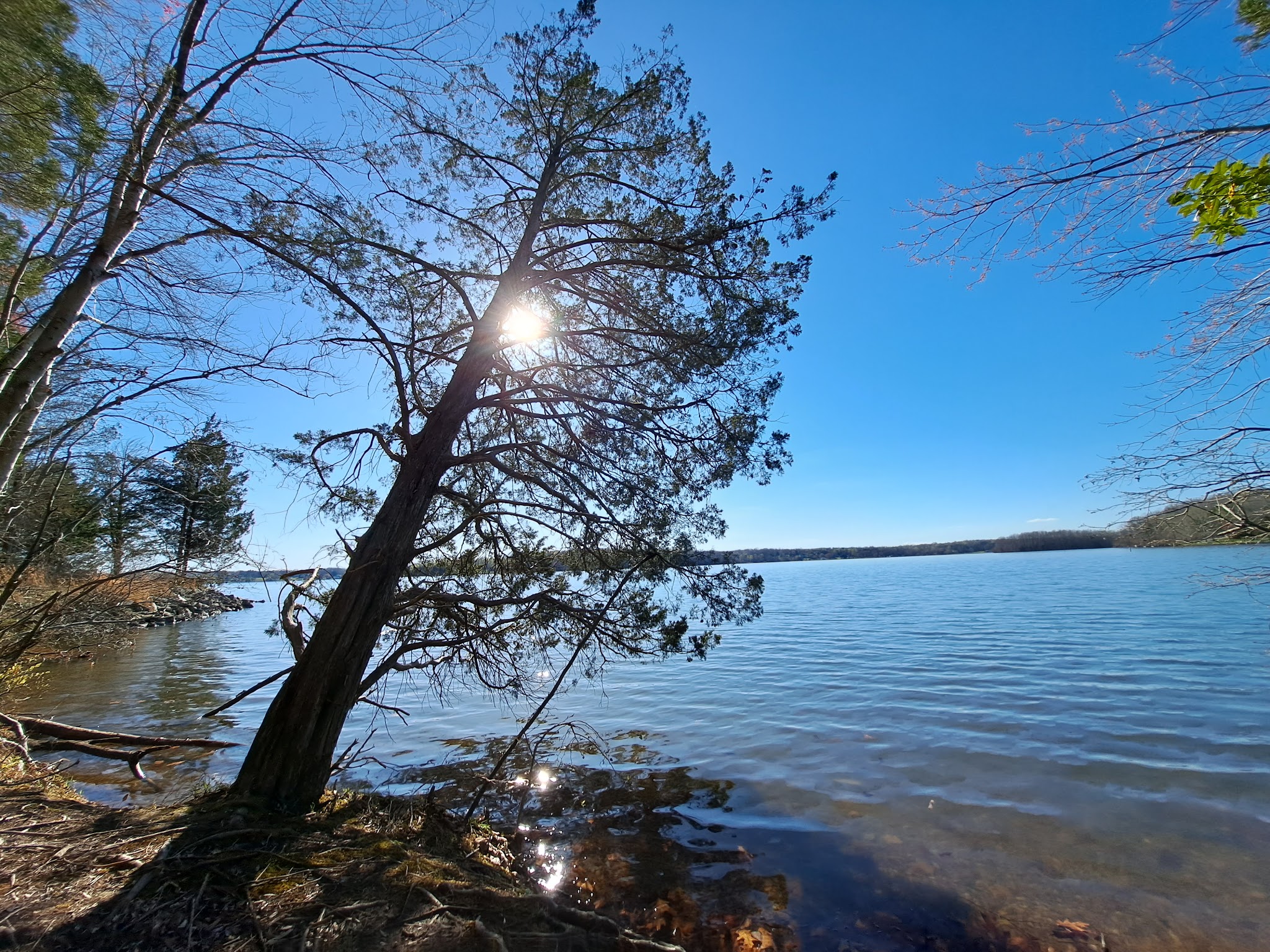 Lake Anna Campground