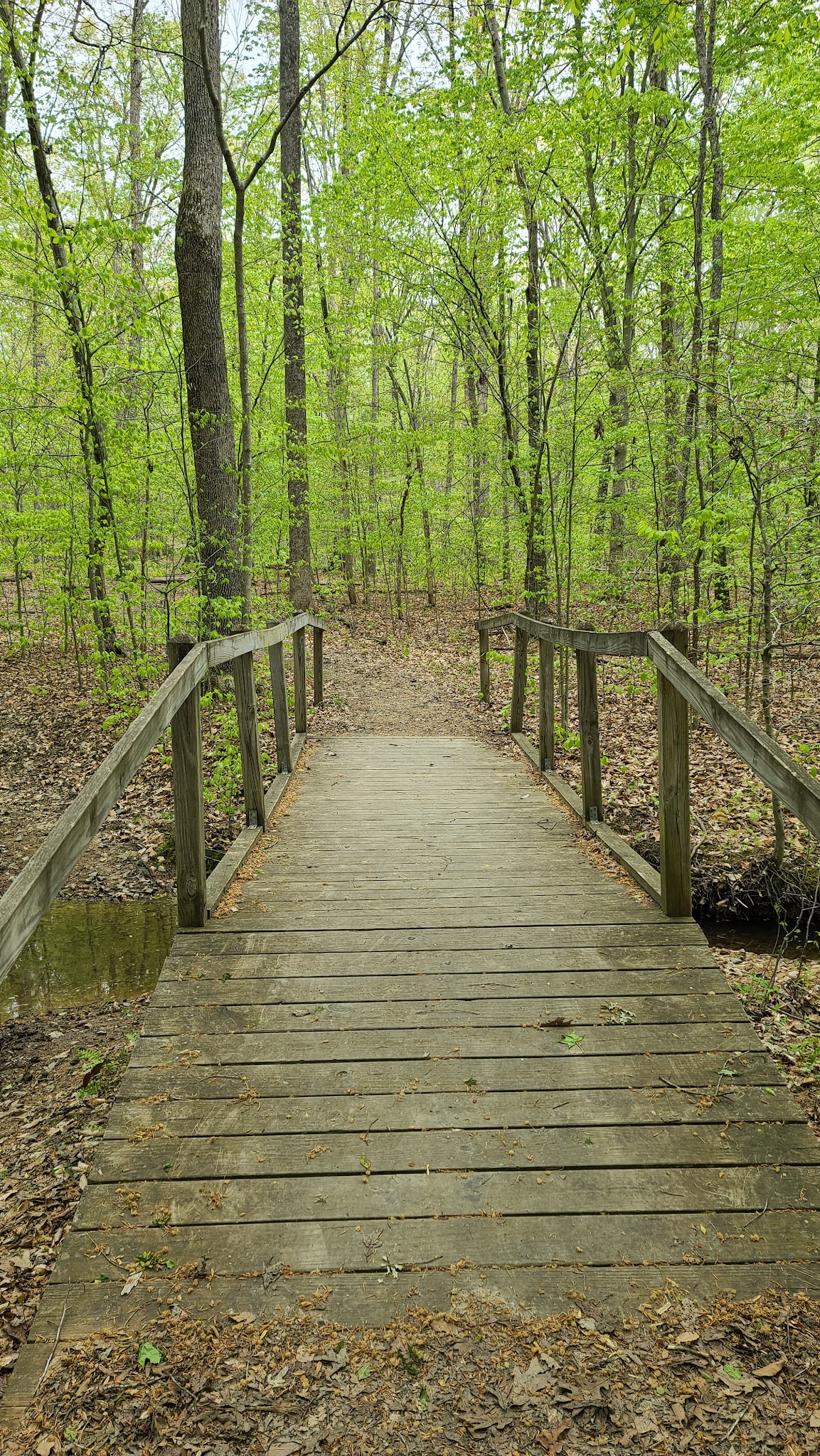 Lake Anna Campground