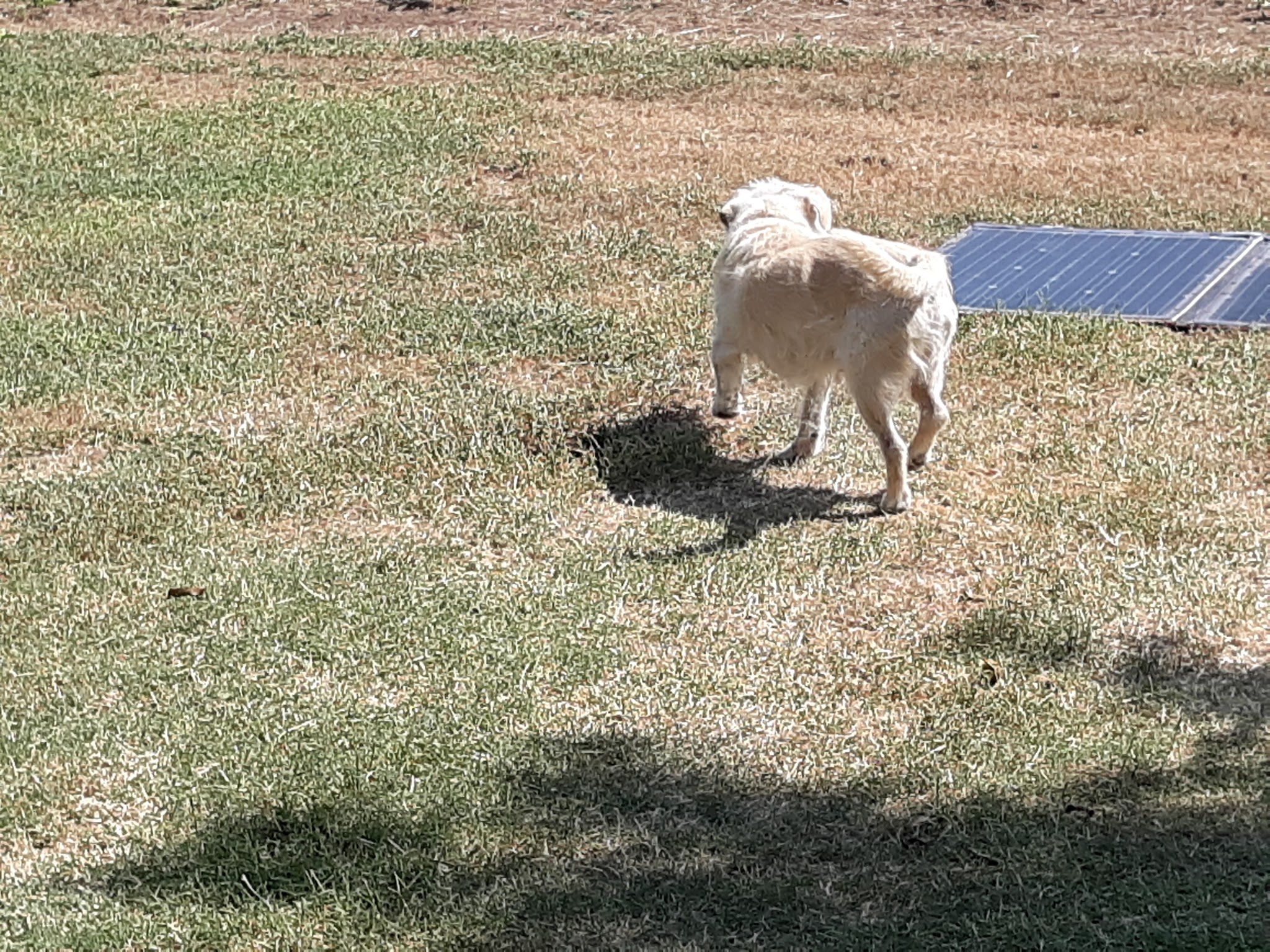 Lake Arrowhead State Park