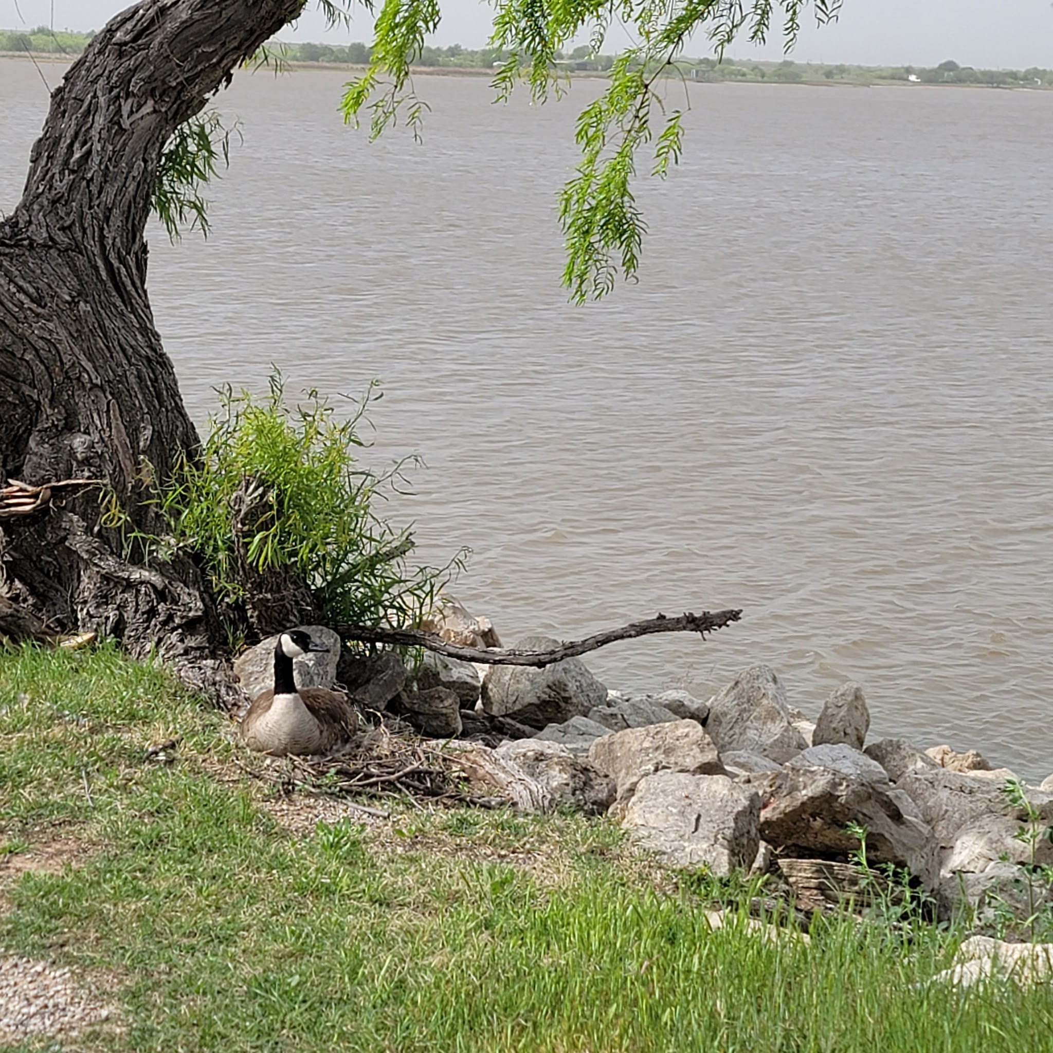 Lake Arrowhead State Park