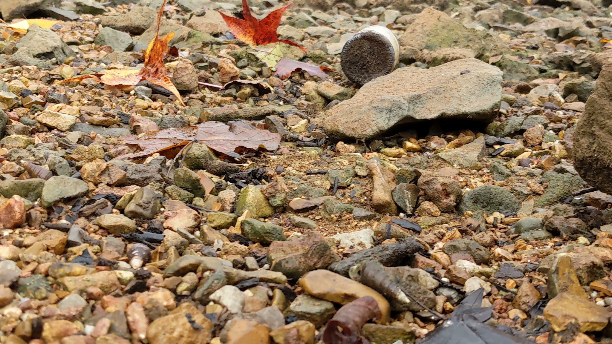 Lake Barkley State Resort Park