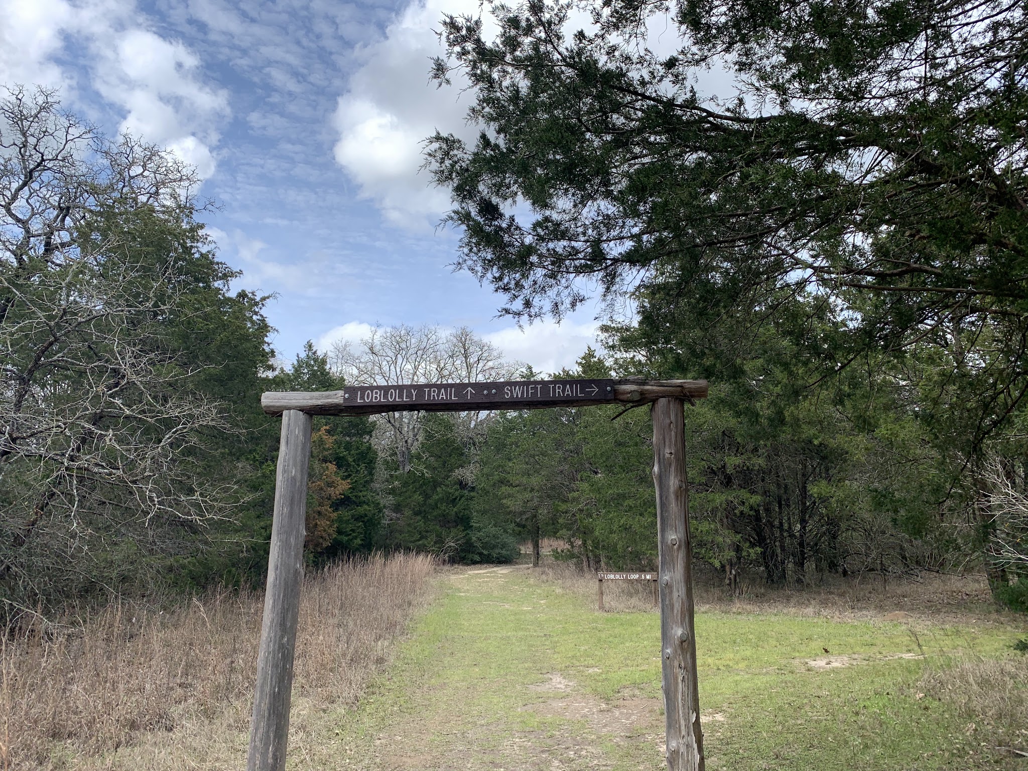 Lake Bastrop South Shore Park
