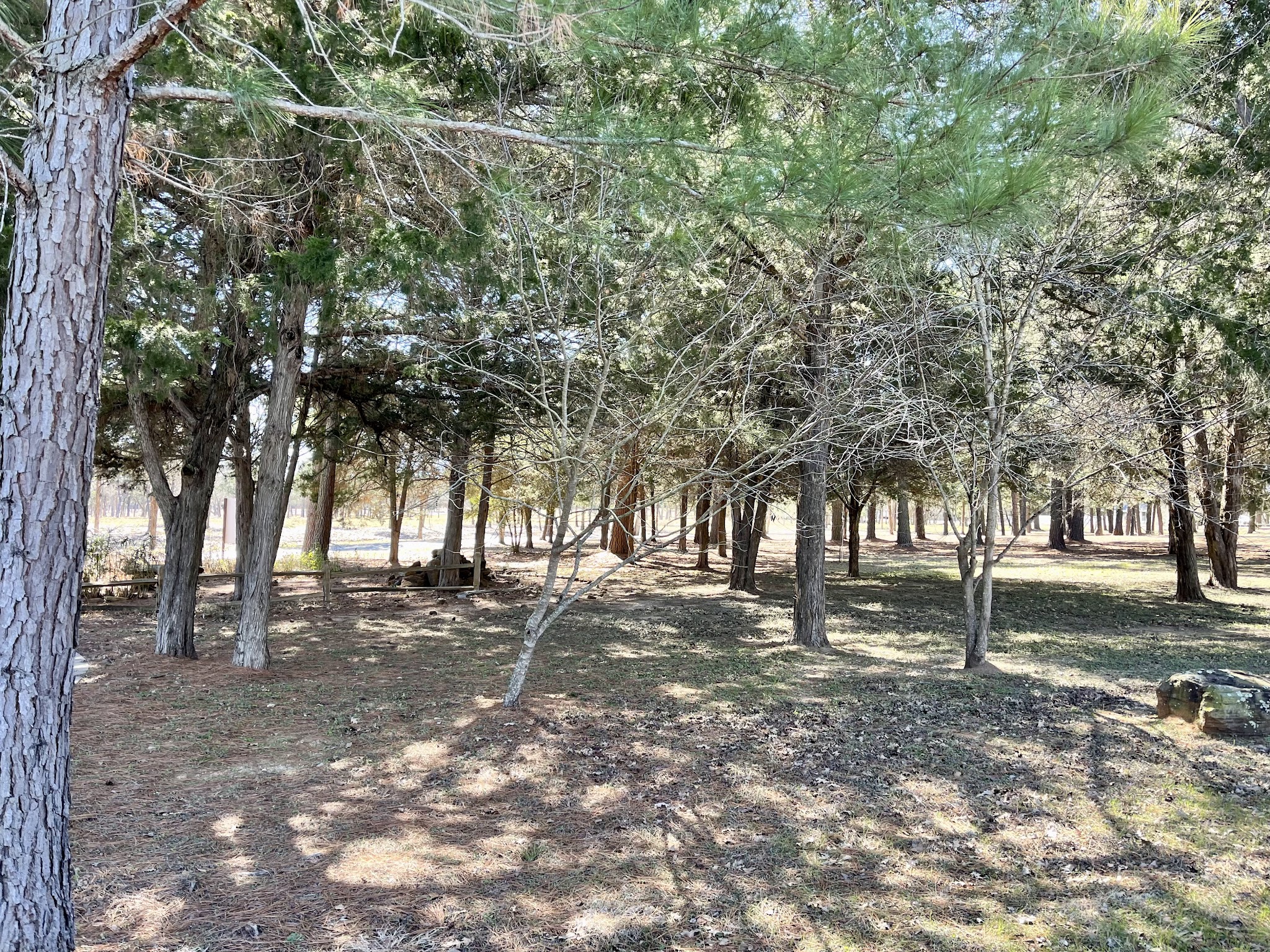 Lake Bastrop South Shore Park