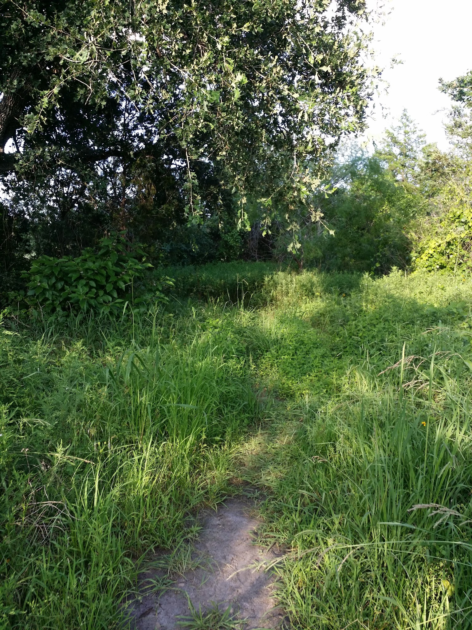 Lake Bastrop South Shore Park