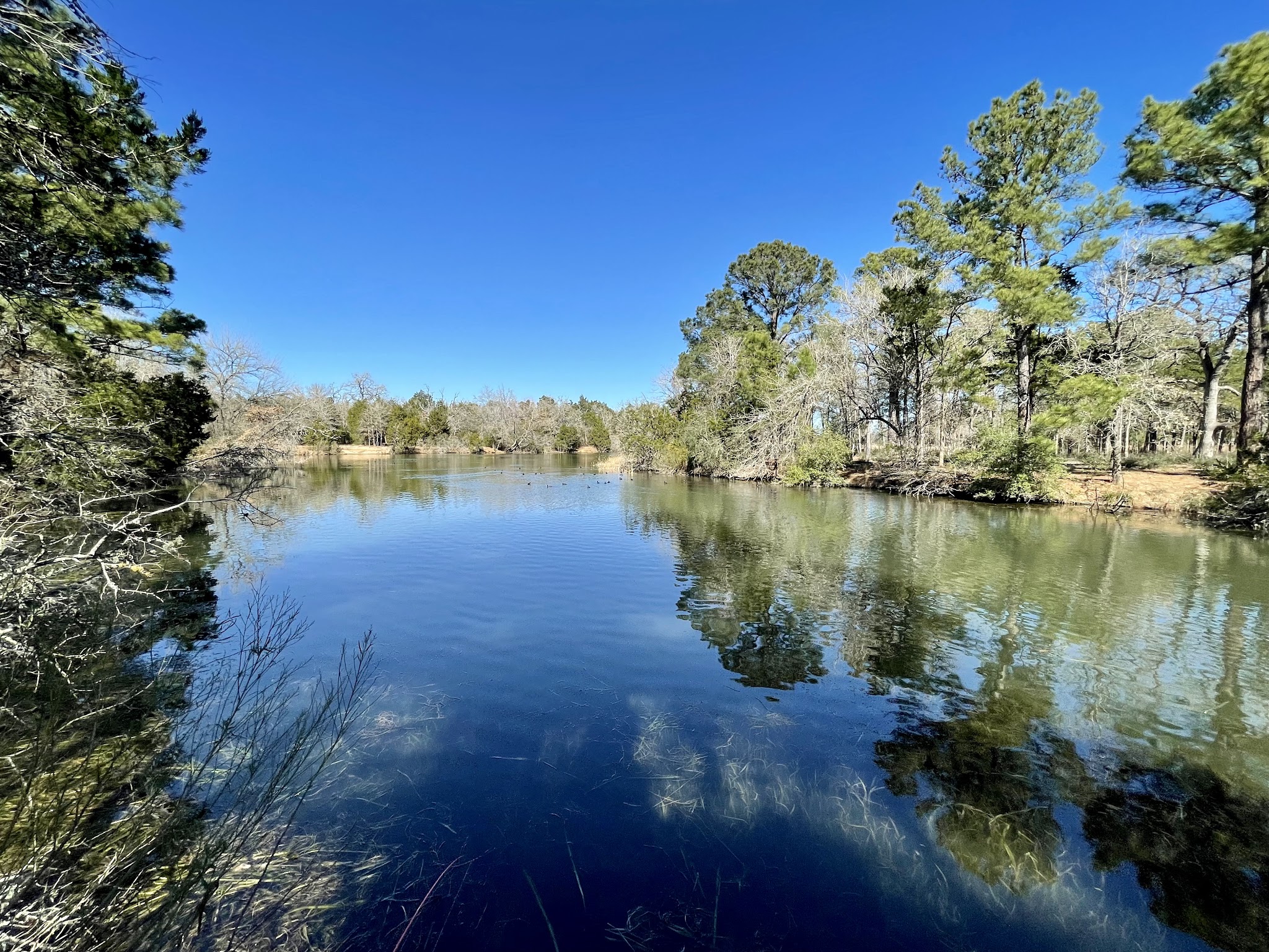 Camping in Texas Prairies