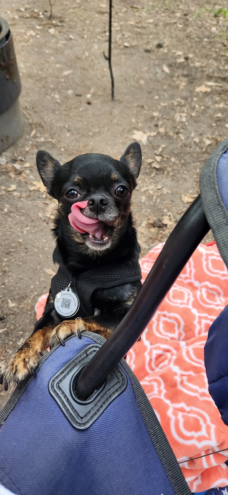 Lake Bemidji Campground