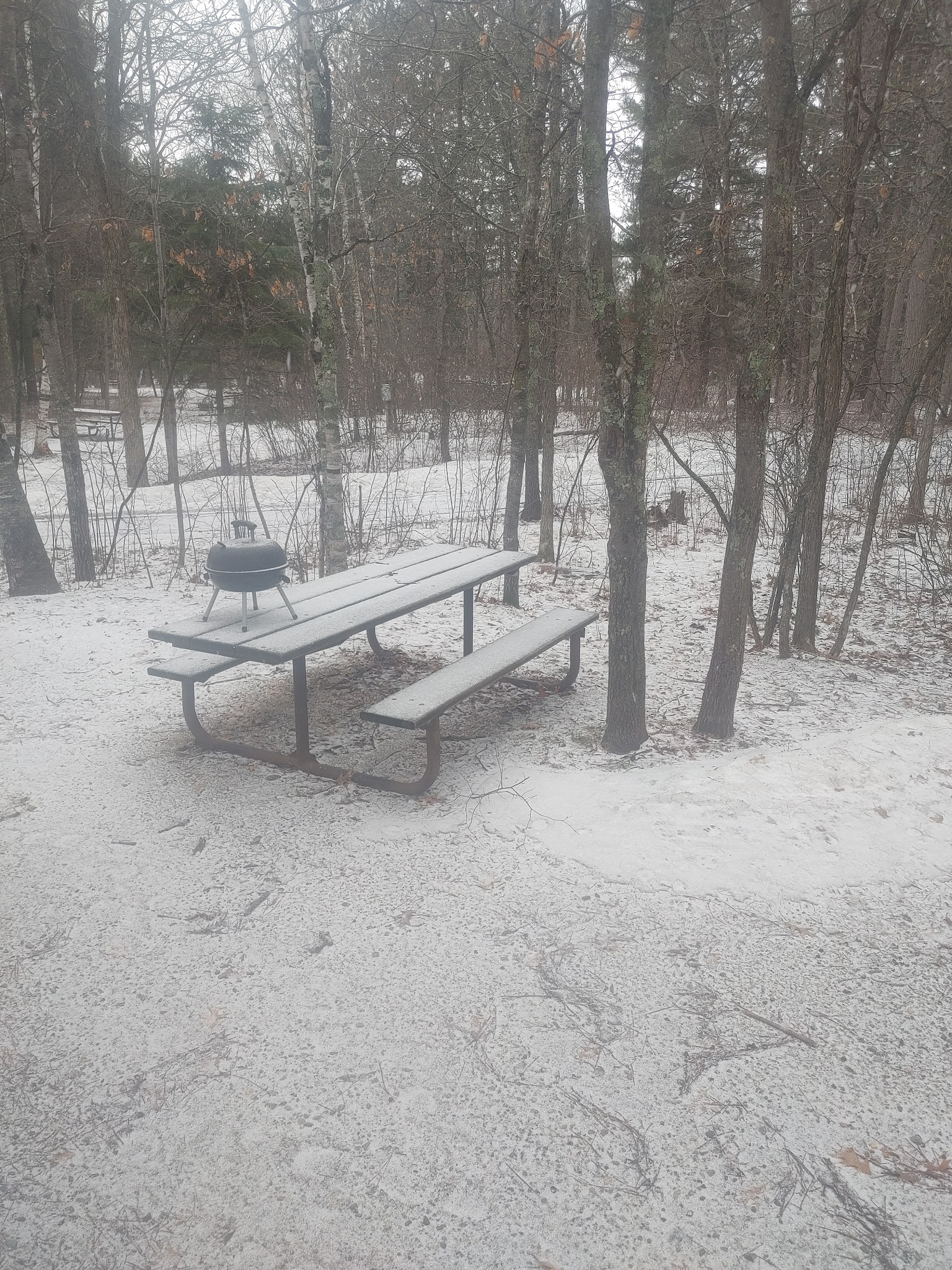 Lake Bemidji Campground