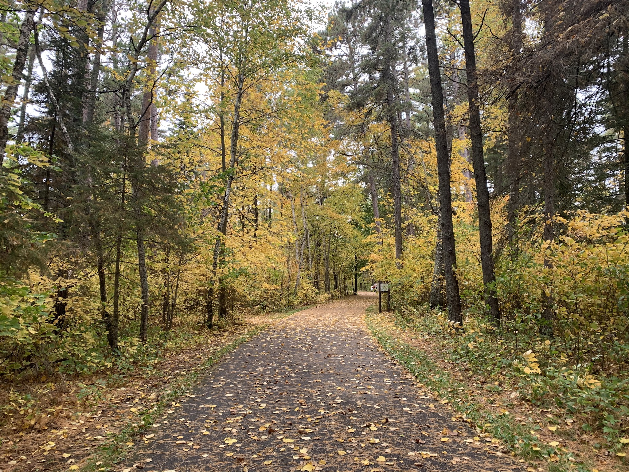 Track Chair Campground