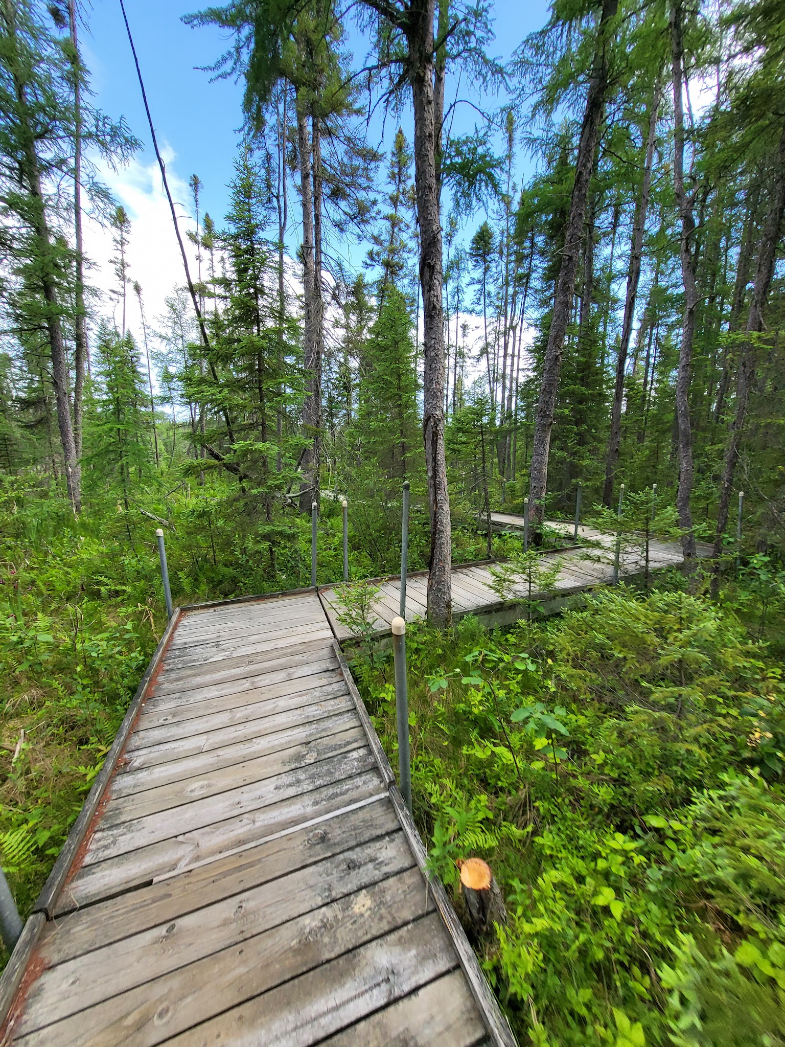 Track Chair Campground
