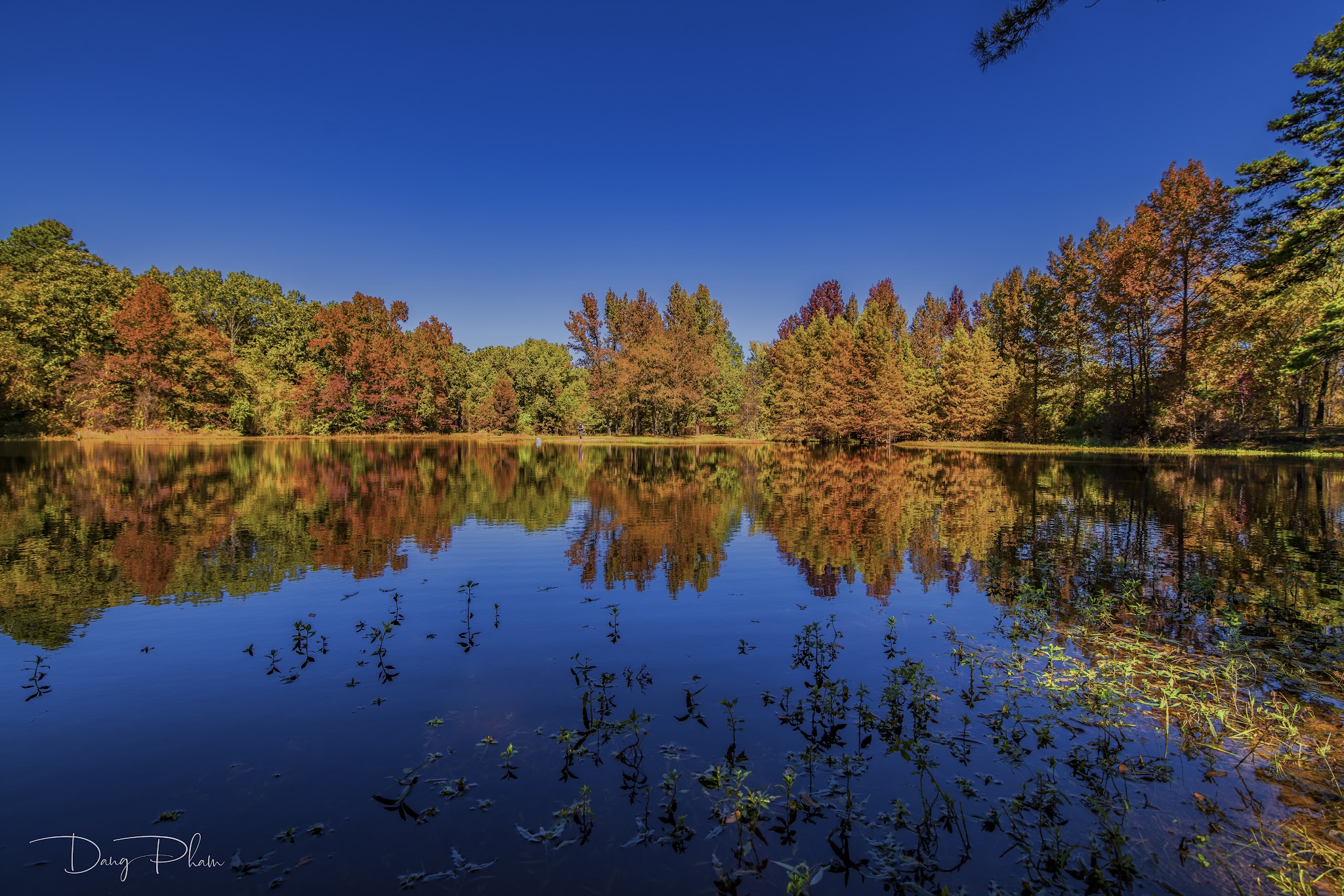 Camping in Piney Woods (East Texas & Louisiana)