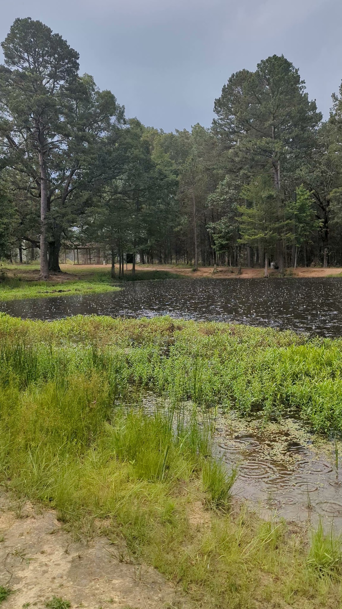 Lake Bob Sandlin State Park