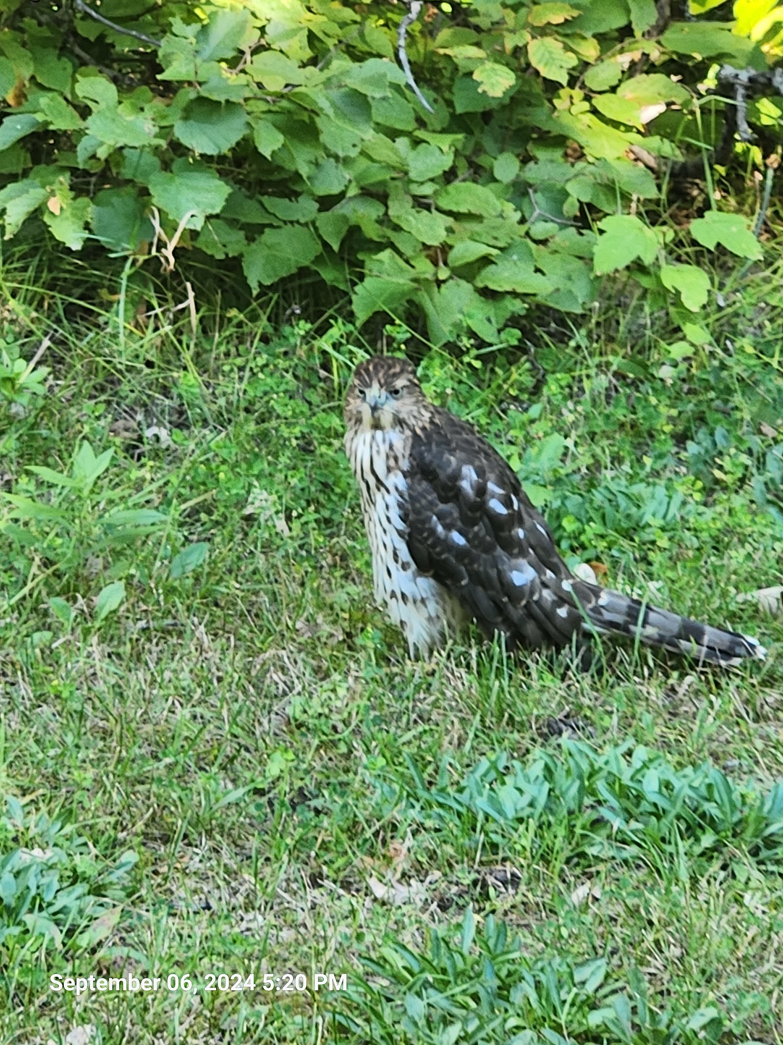 Two Rivers Campground