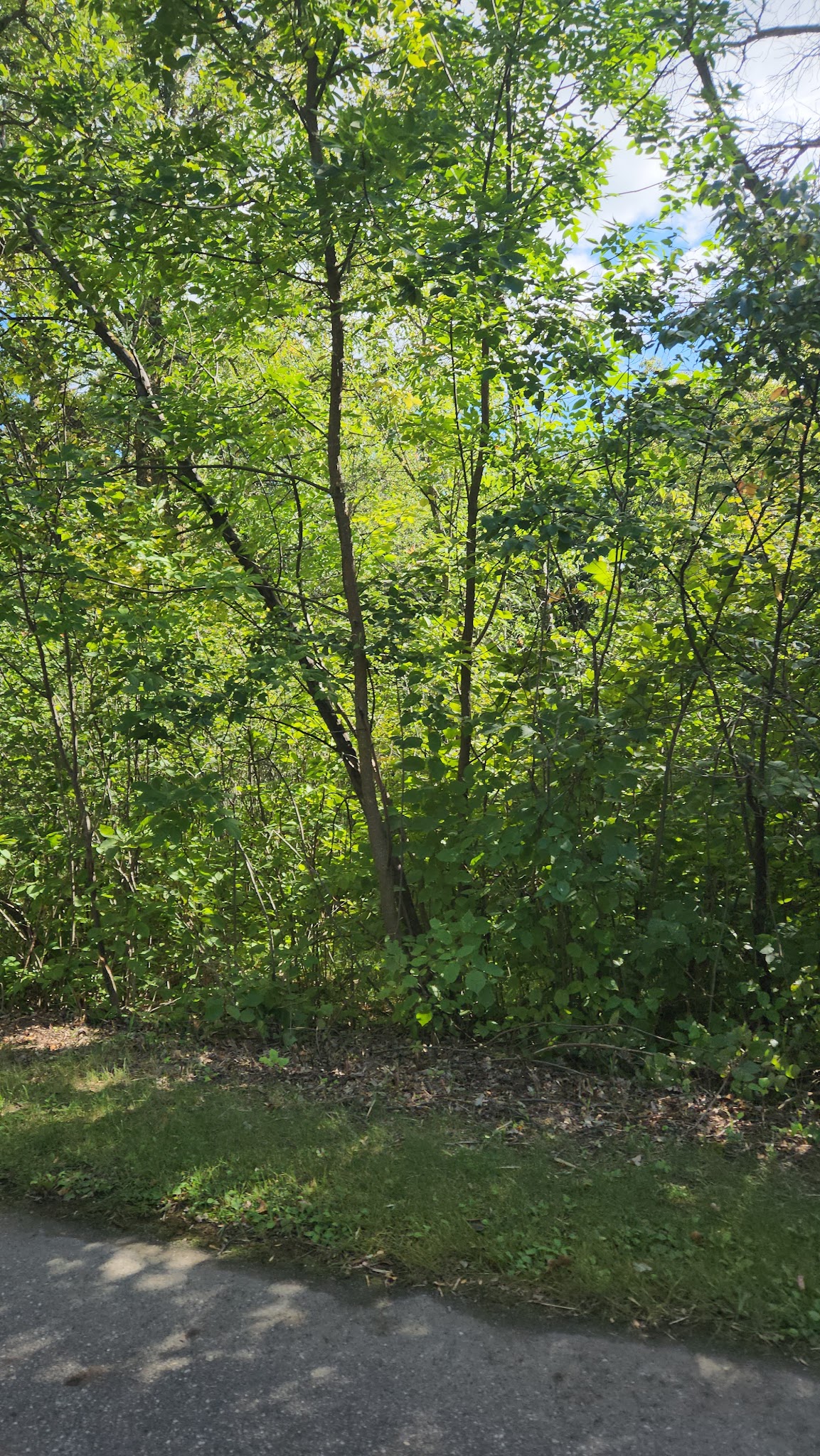 Two Rivers Campground