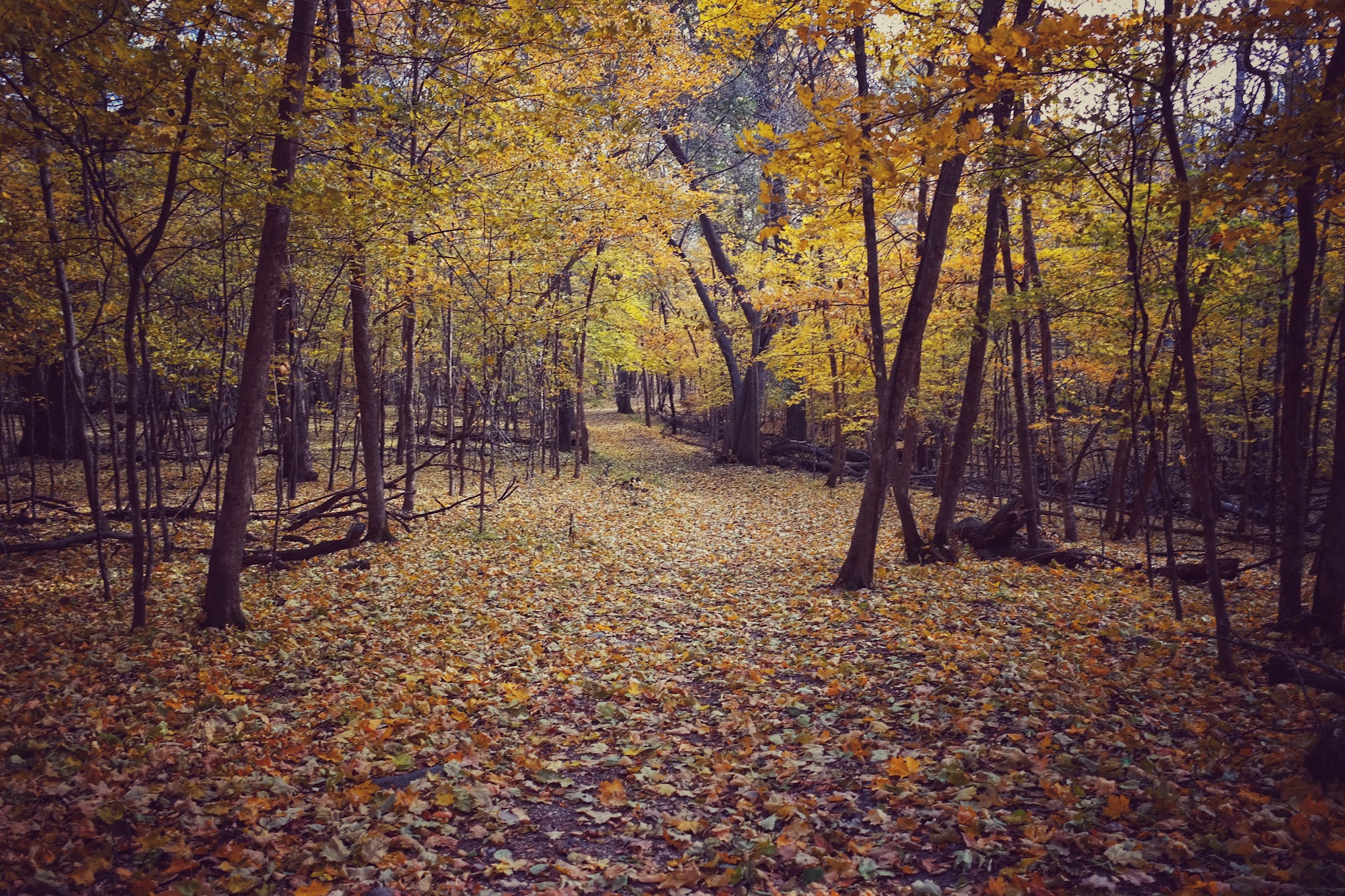 Camper Cabins Campground