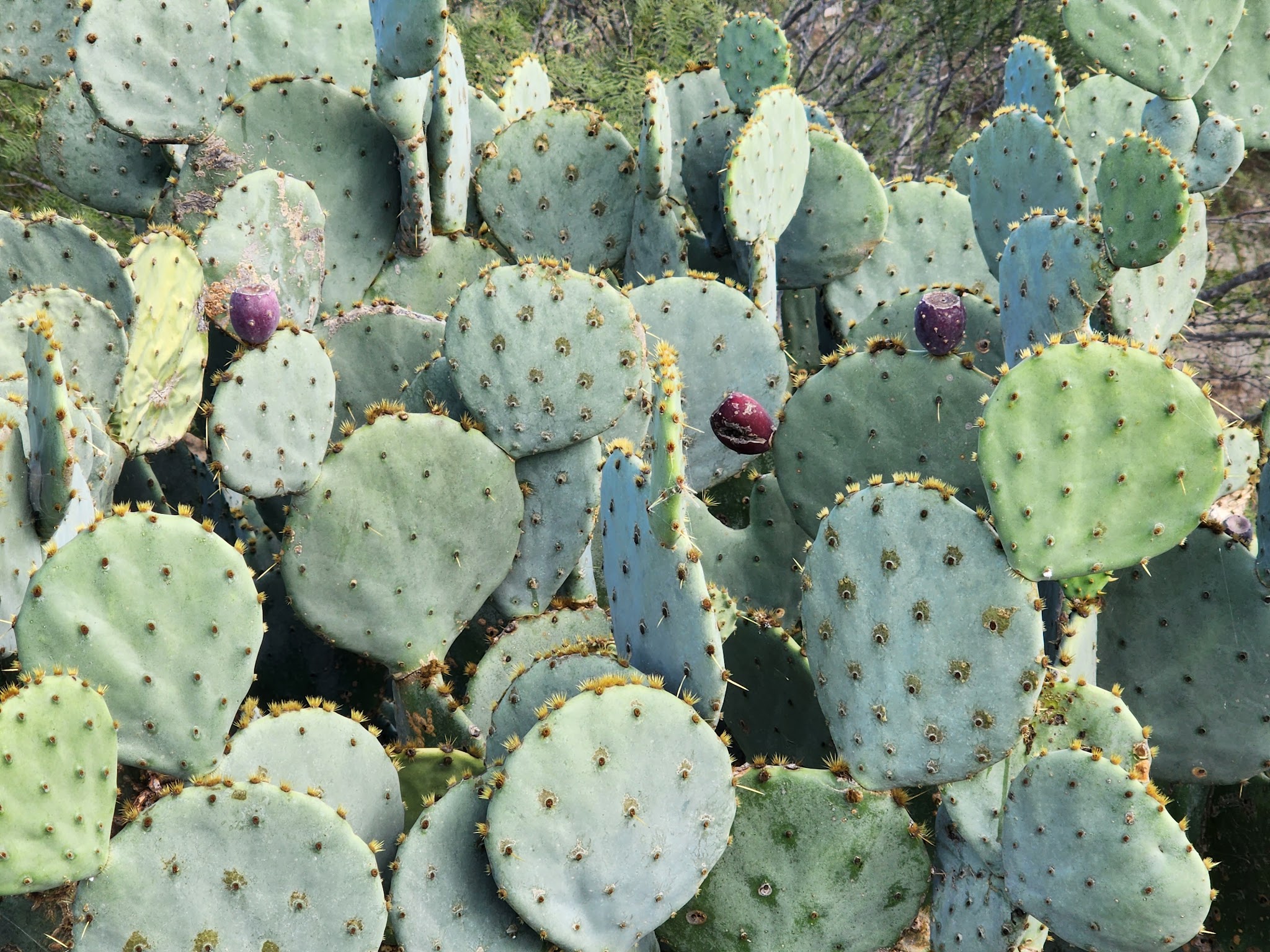 Lake Casa Blanca International State Park
