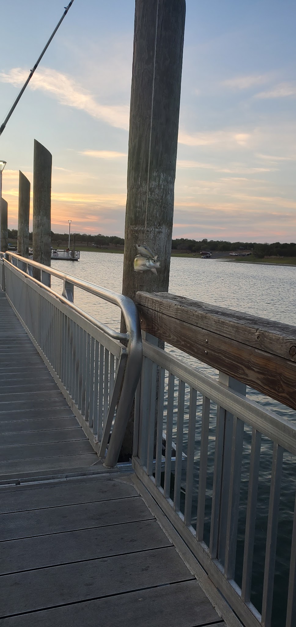 Lake Corpus Christi State Park