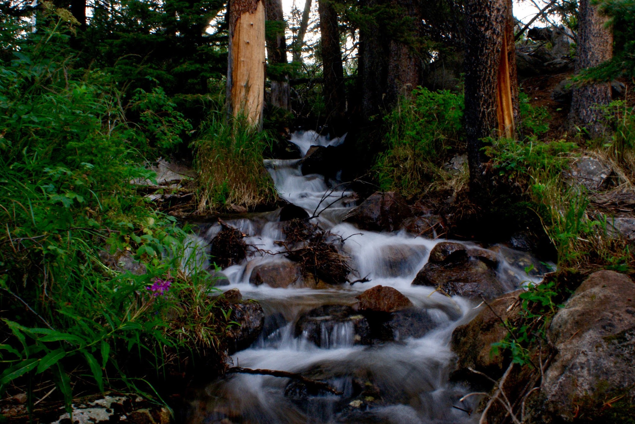 Lake Creek Campground