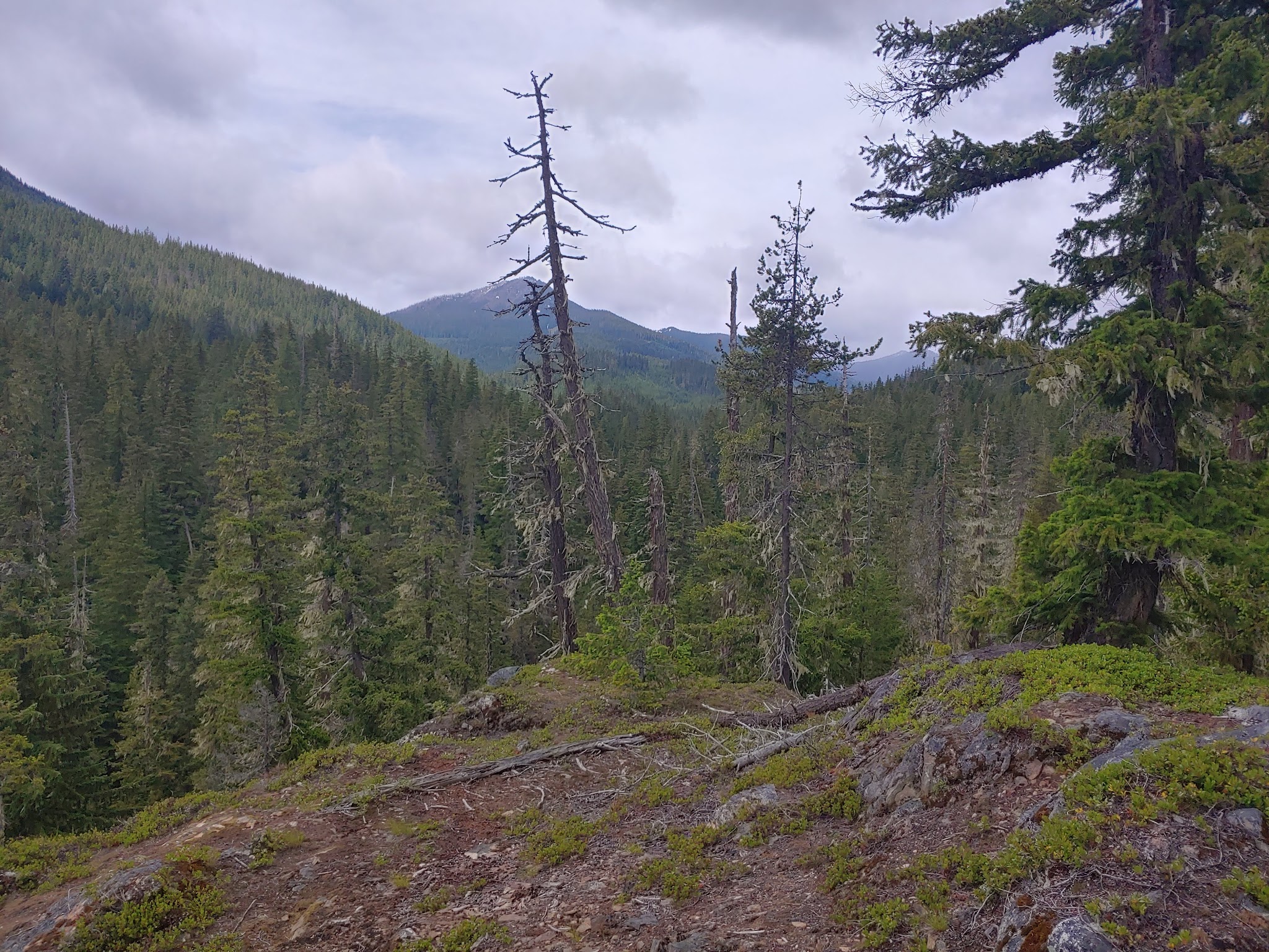 Lake Creek Campground - Little Wenatchee River