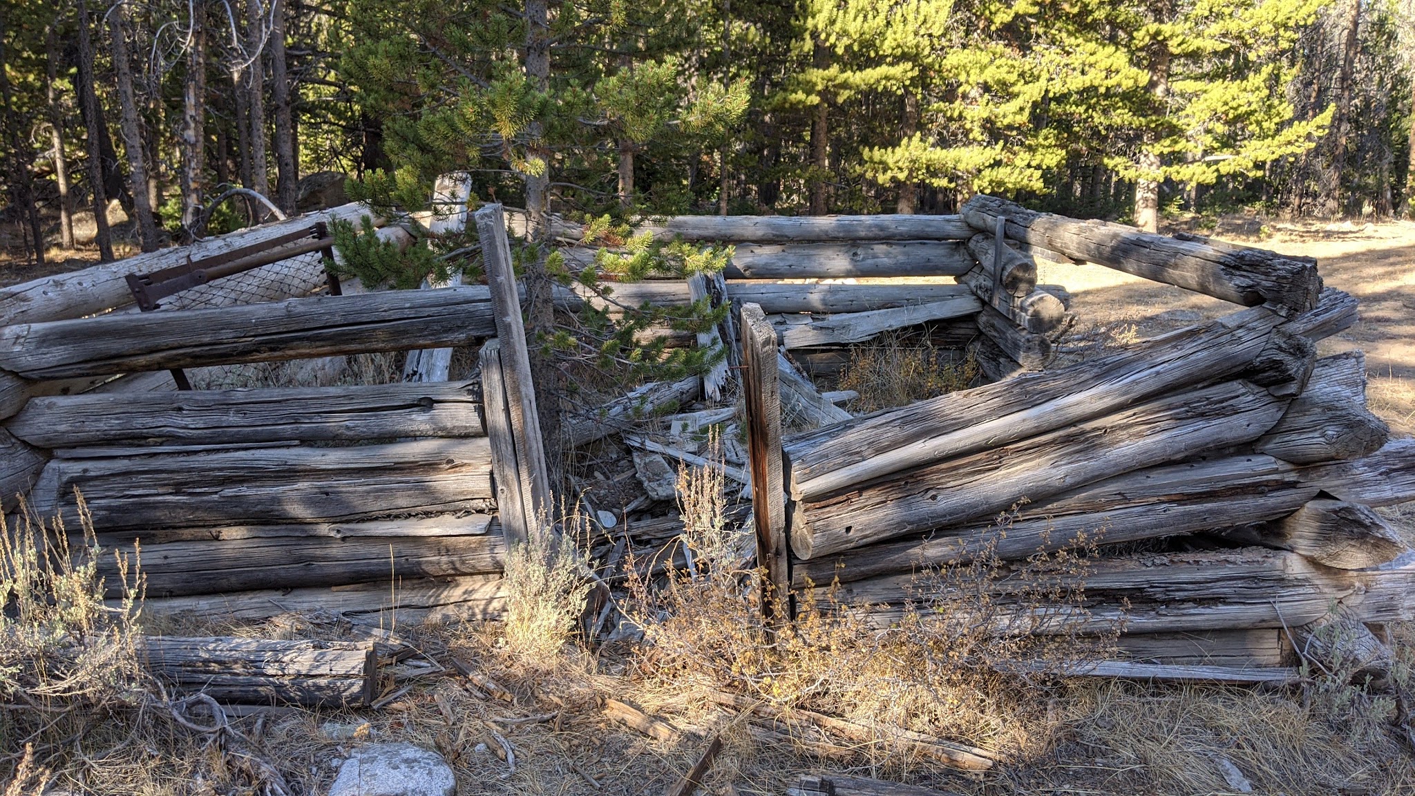 Lake Creek Trailhead & Campground