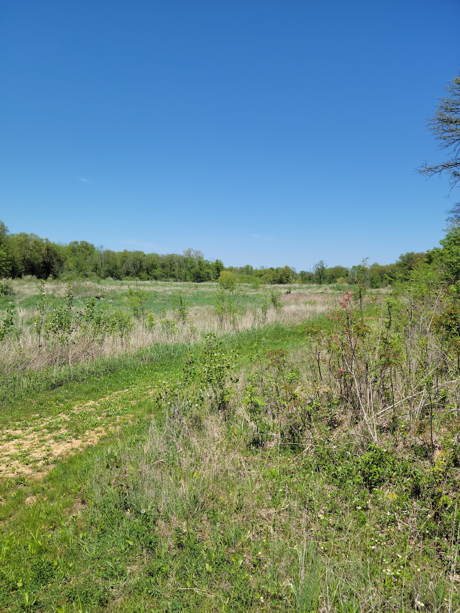 Lake Darling State Park