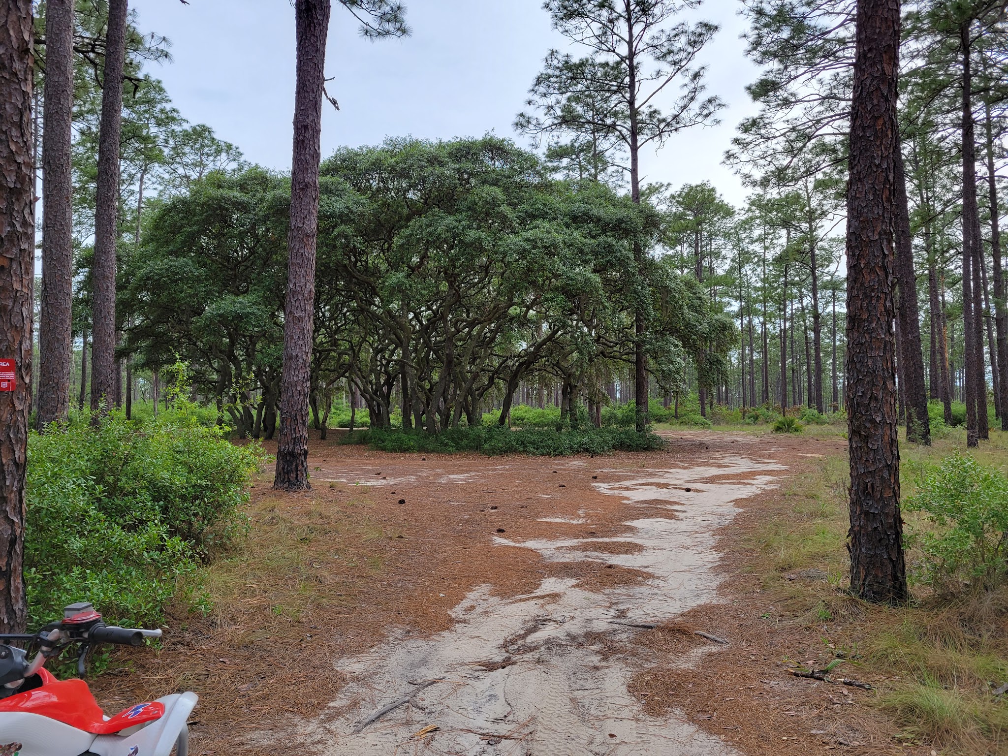 Lake Delancy East Campground