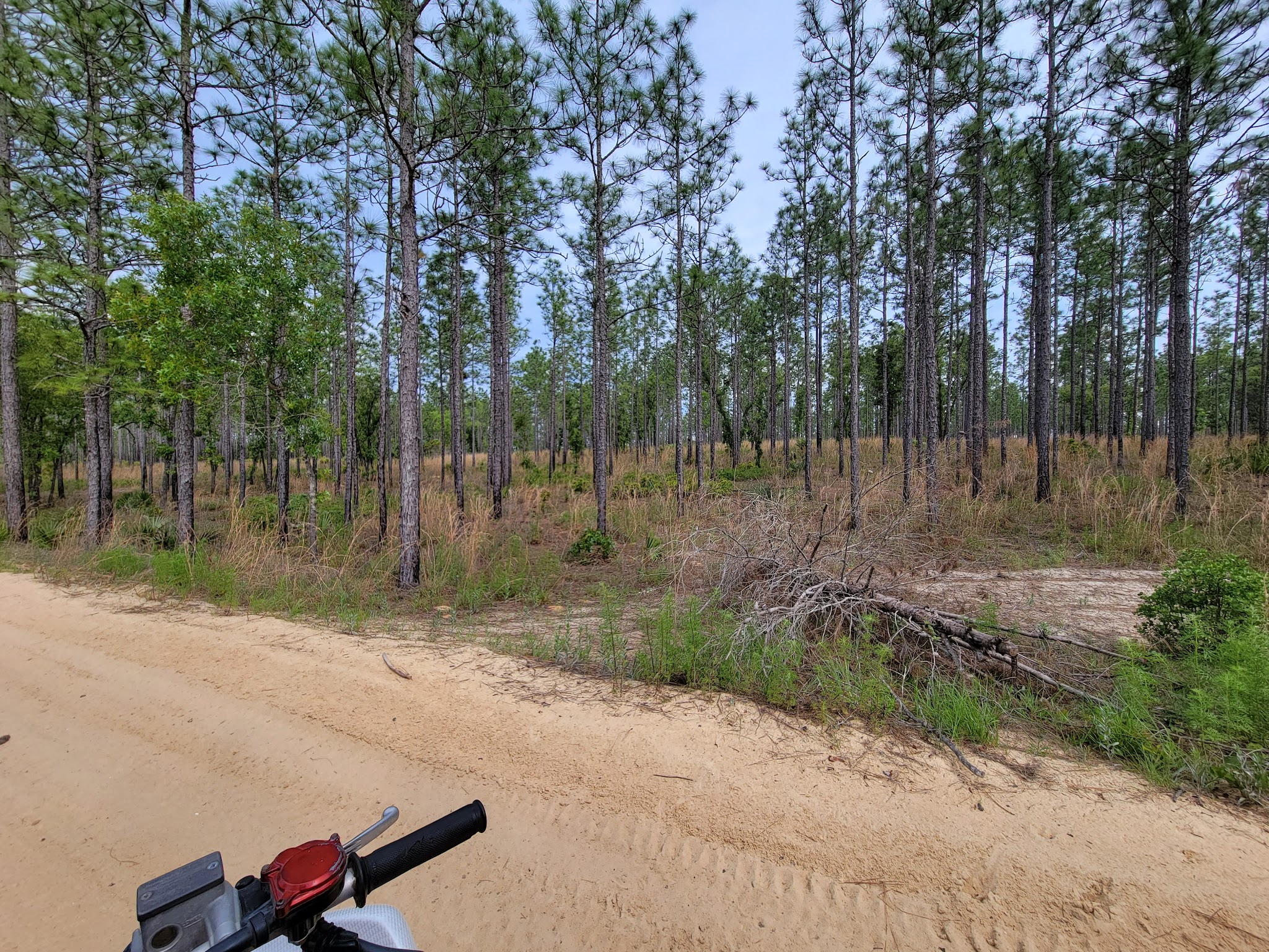 Lake Delancy East Campground