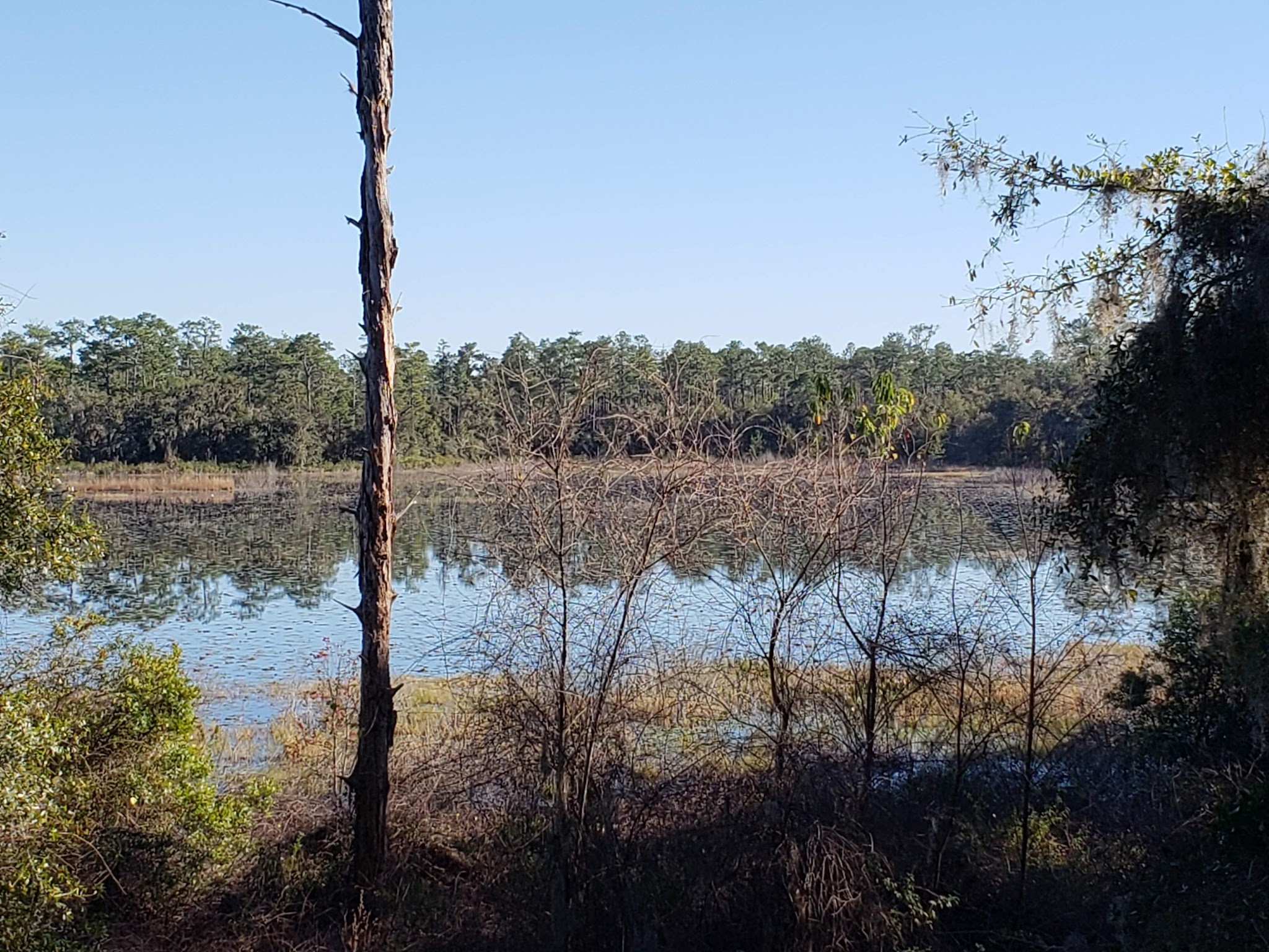 Lake Delancy East Campground