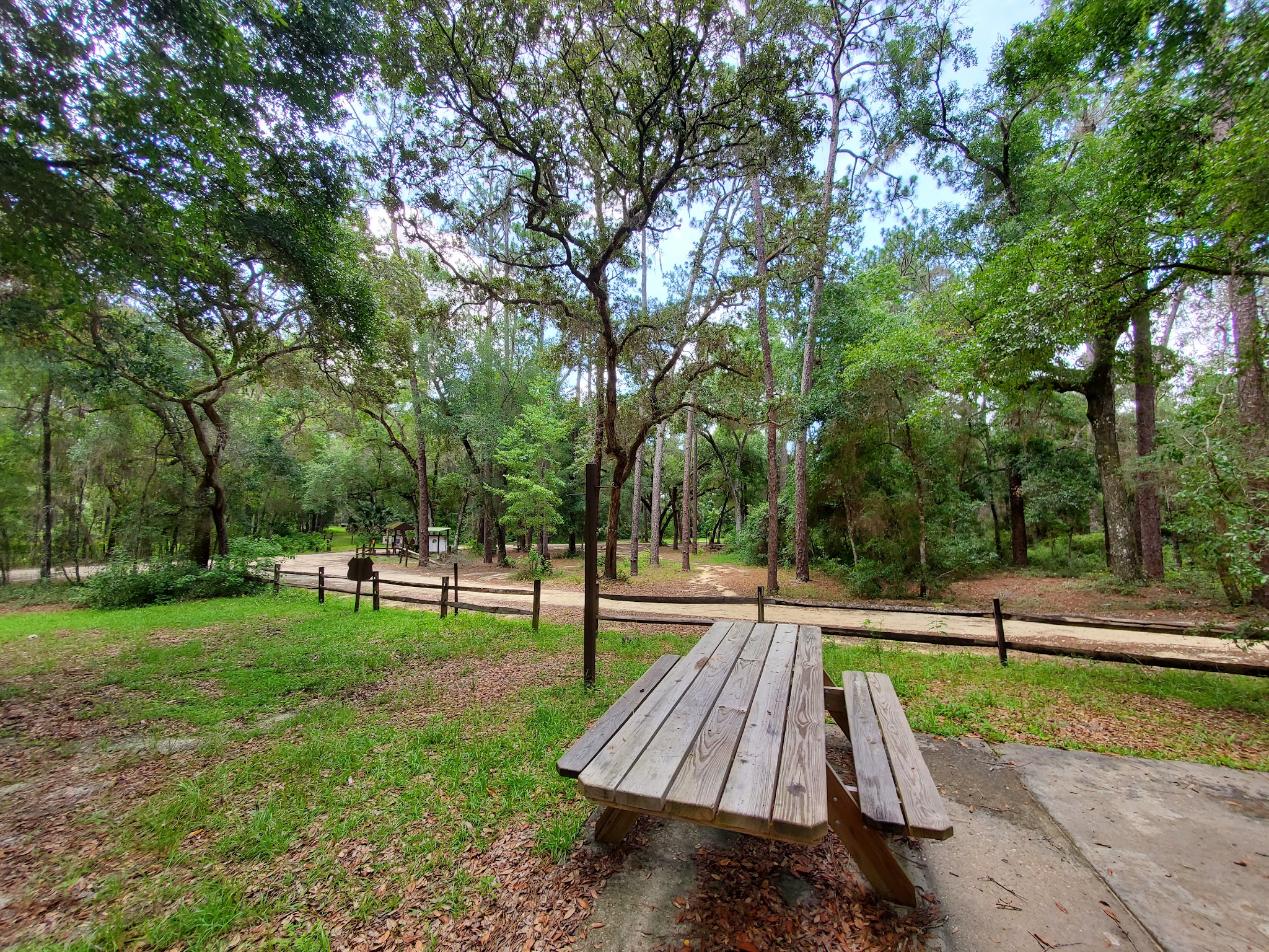 Lake Delancy West Ohv Campground