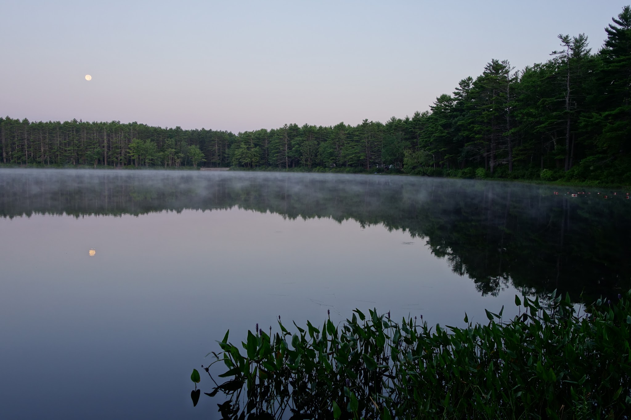 Lake Dennison Recreation Area