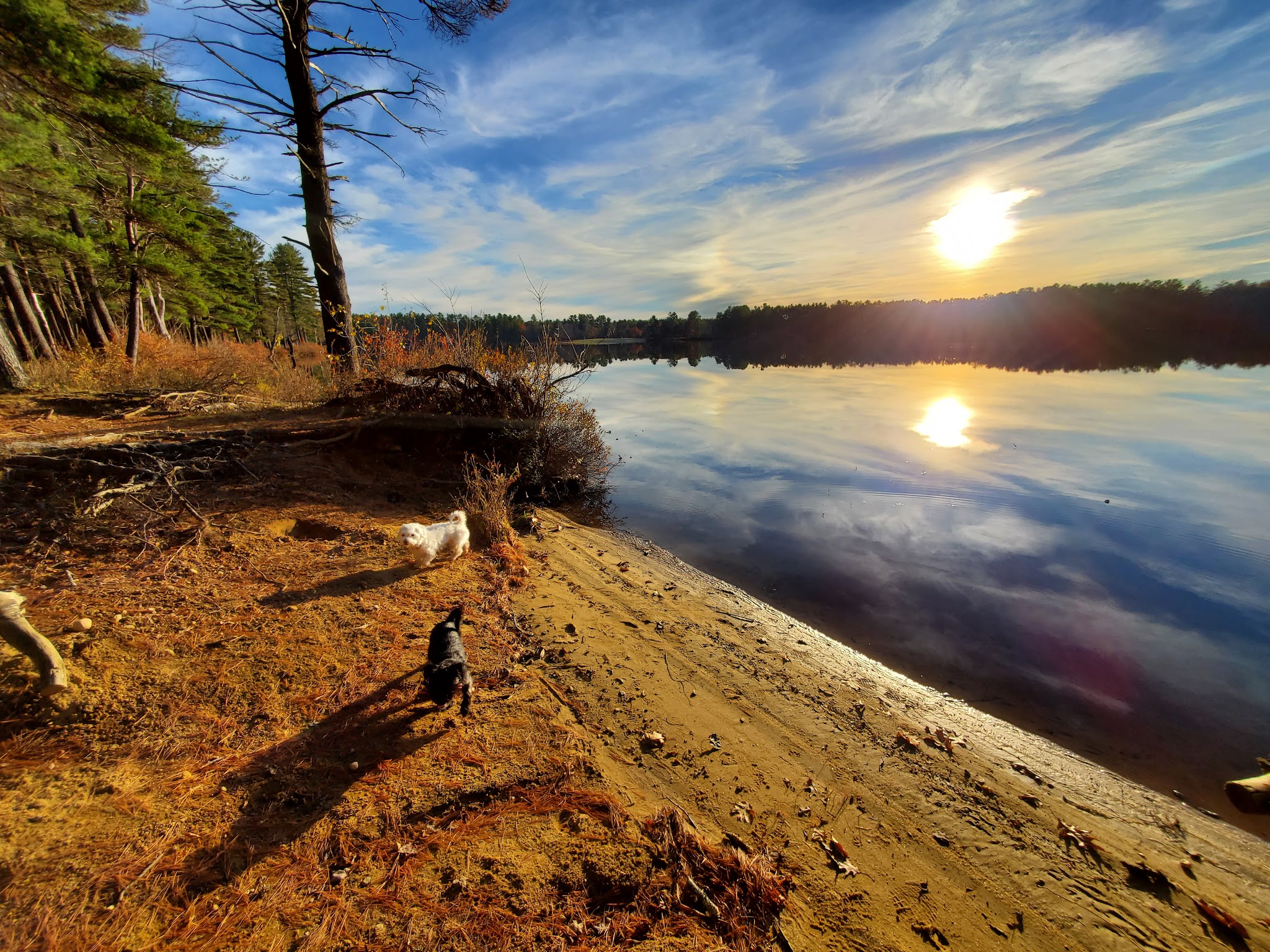 Lake Dennison Recreation Area