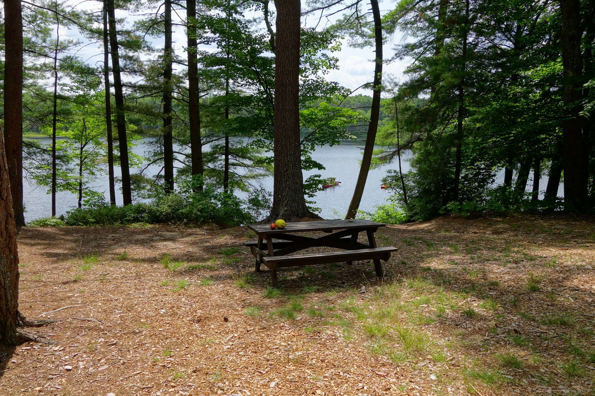 Lake Dennison Recreation Area