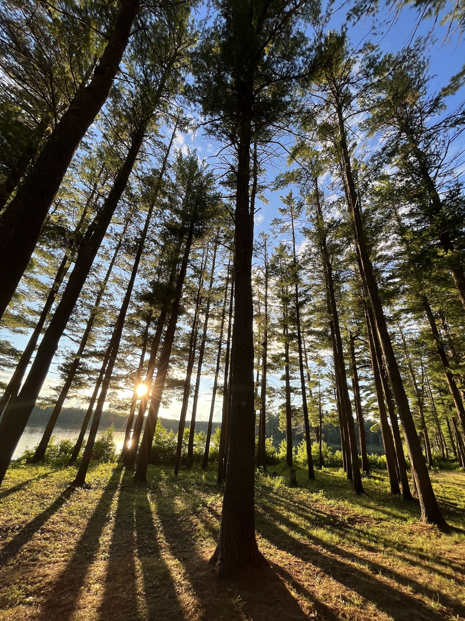 Lake Dennison Recreation Area