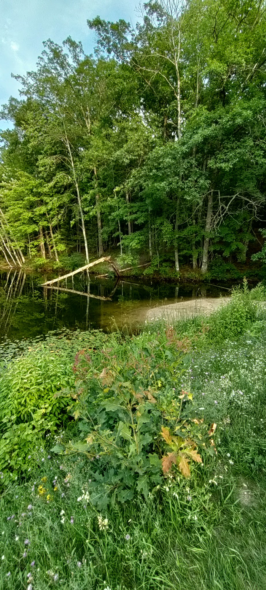 Lake Dubonnet Trail Camp