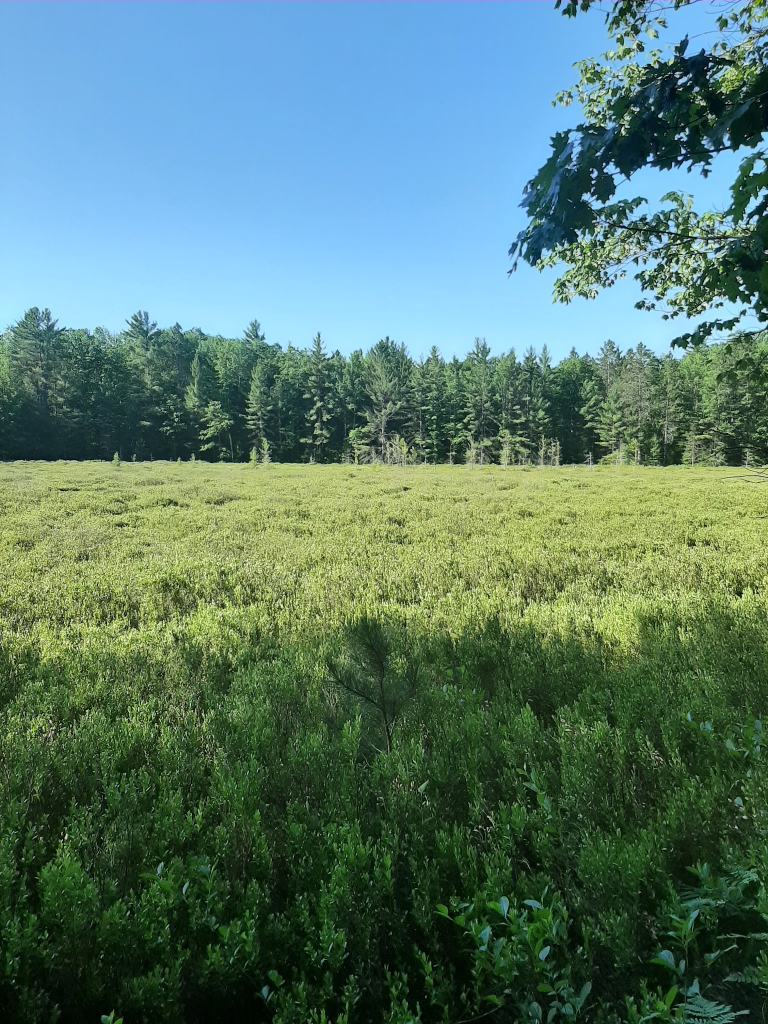 Lake Dubonnet Trail Camp