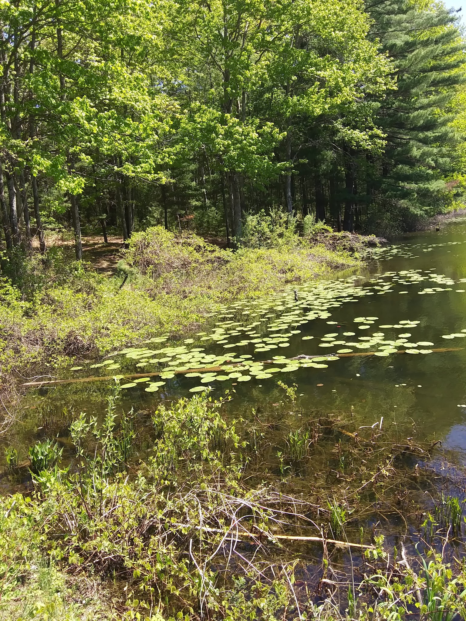 Lake Dubonnet Trail Camp