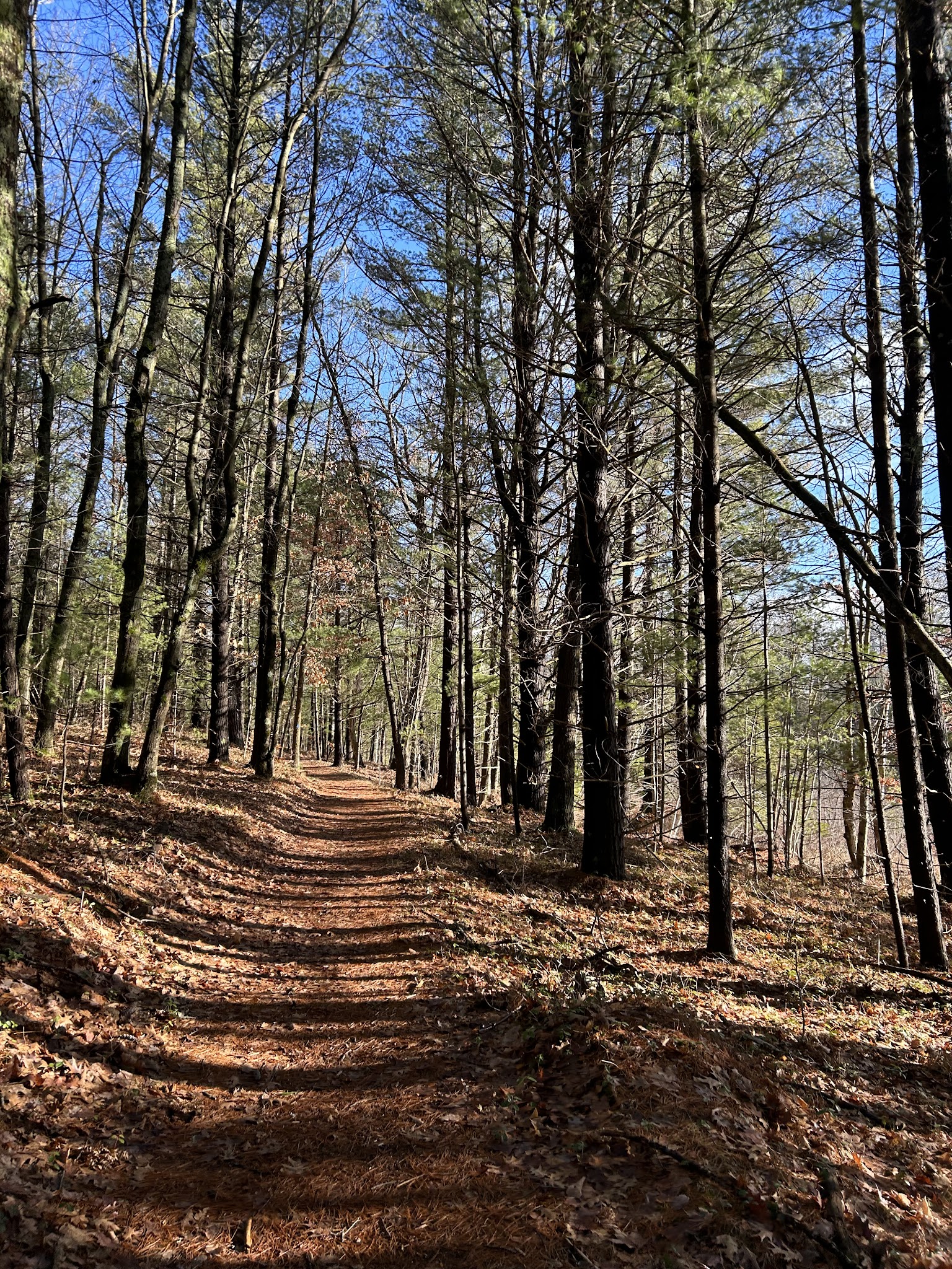 Lake Dubonnet Trail Camp