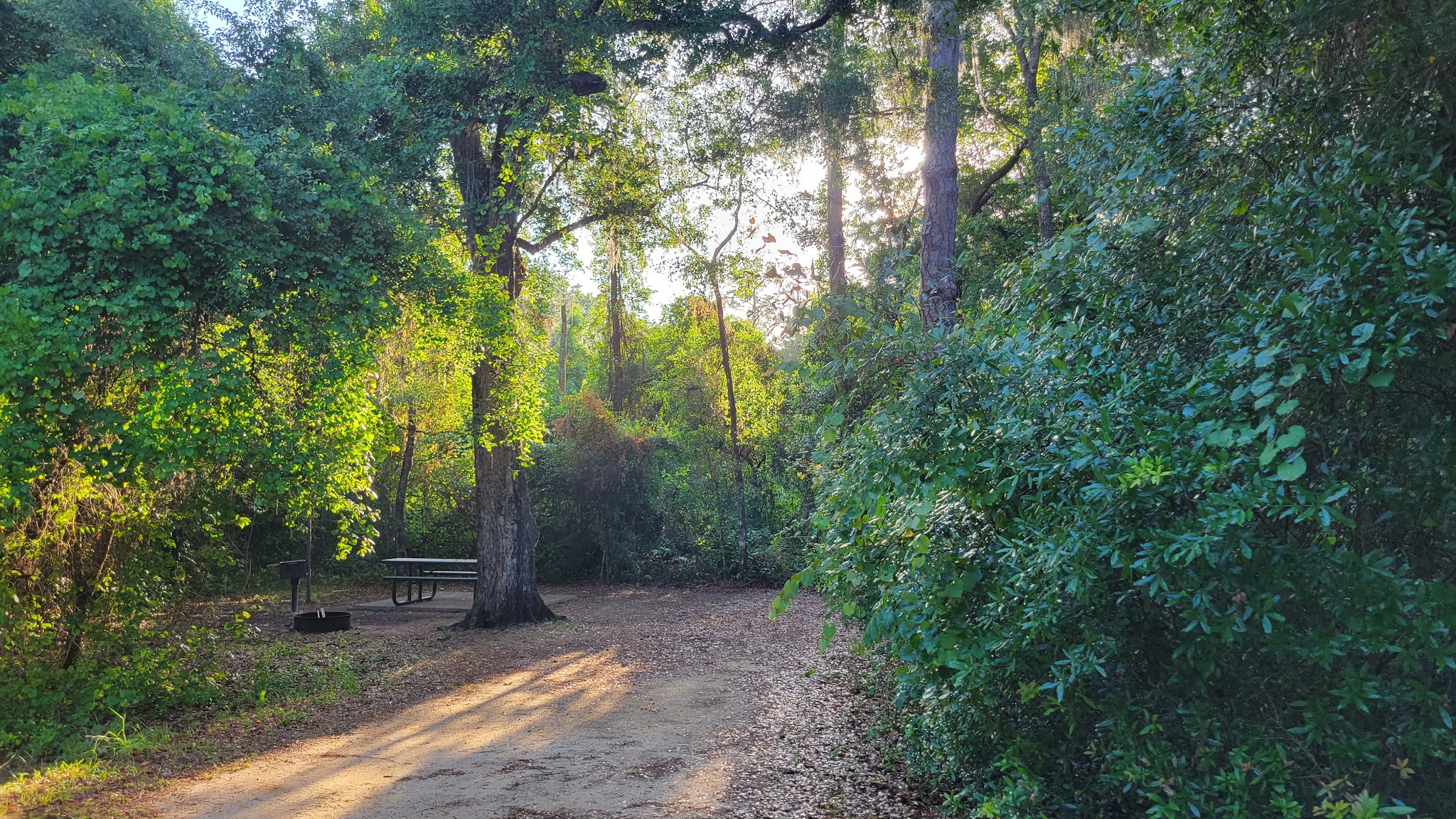 Lake Eaton Campground
