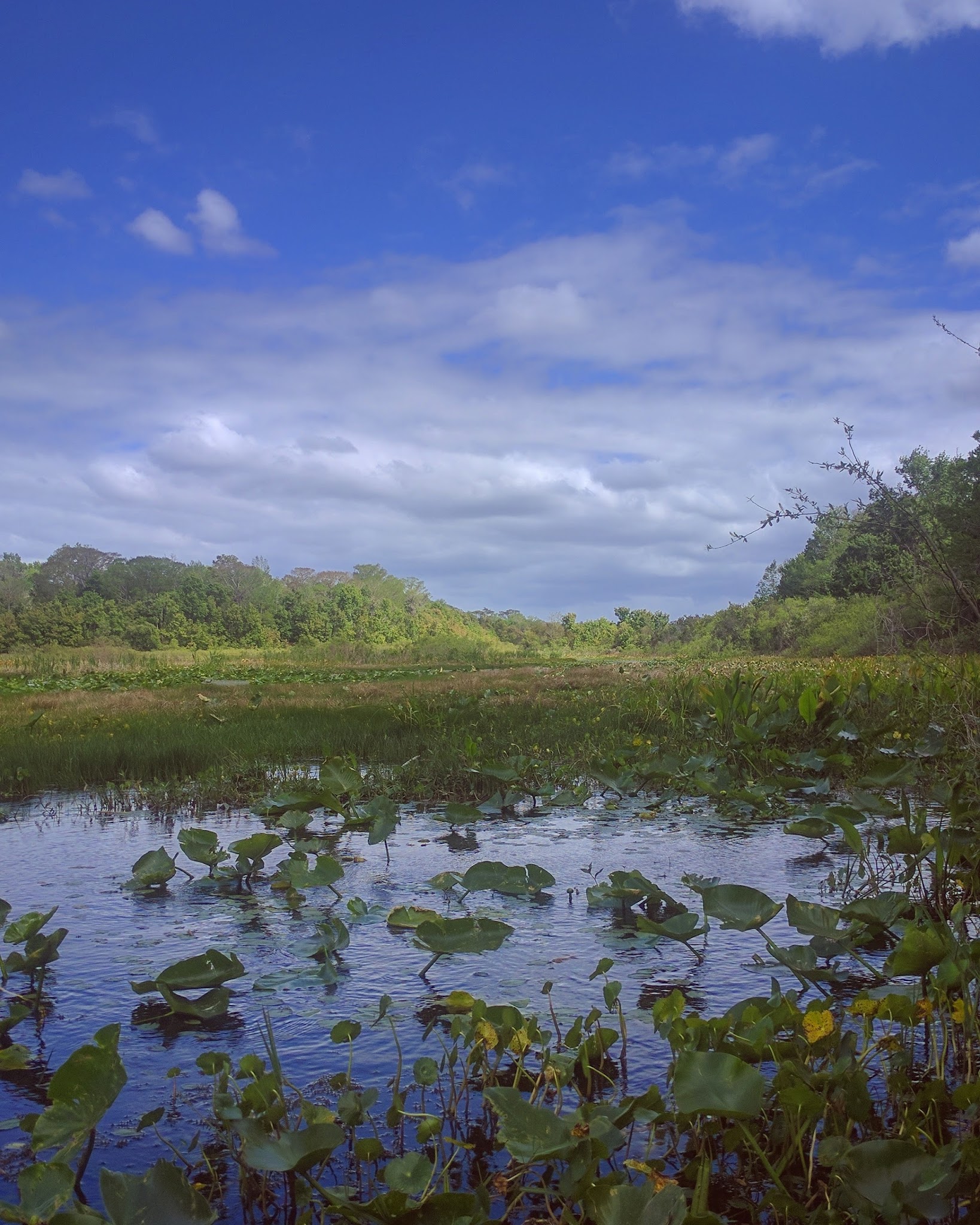 Lake Eaton Campground