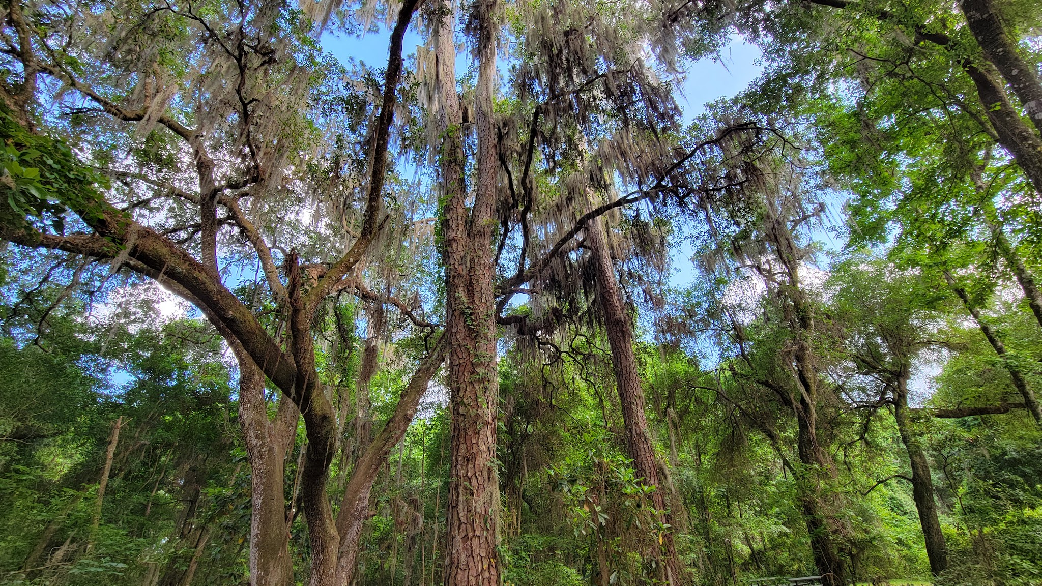 Lake Eaton Campground