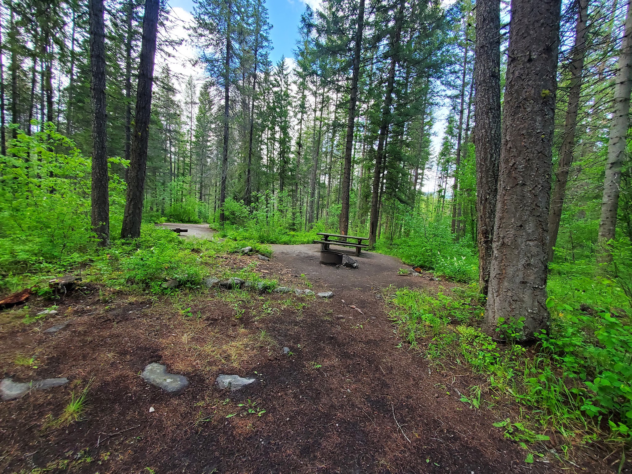 Lake Ellen East Campground