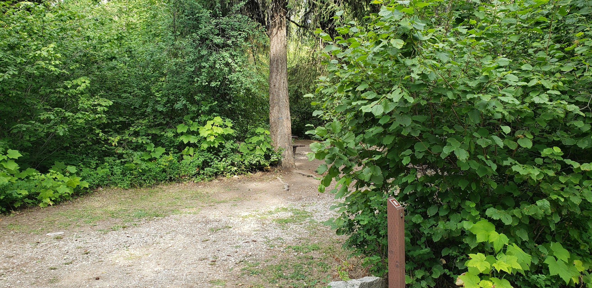 Lake Ellen East Campground